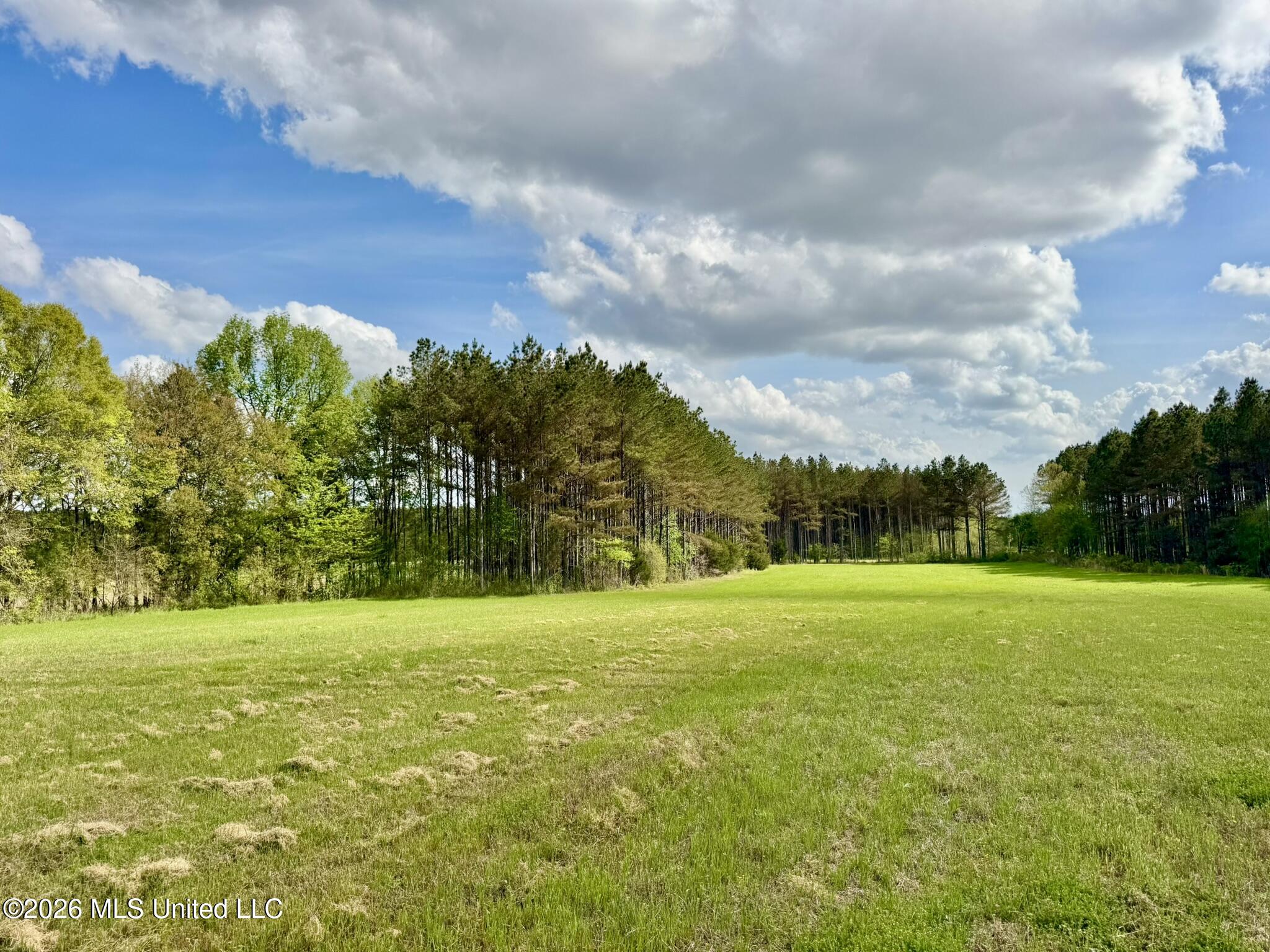 00875 Stump Bridge Road Property Photo 19