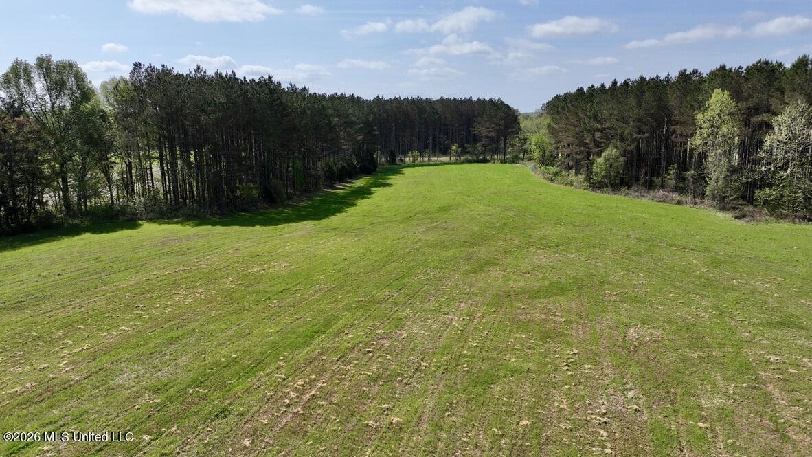 00875 Stump Bridge Road Property Photo 20