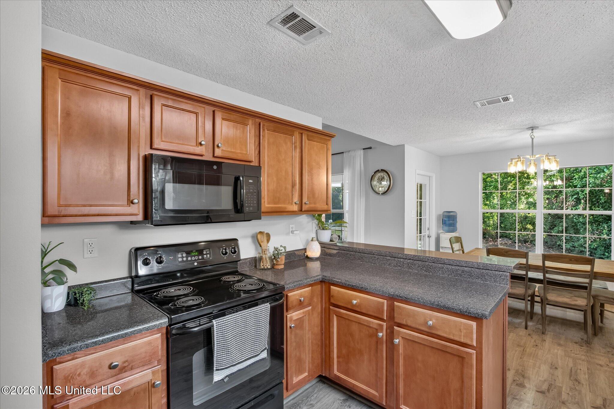 15077 Clear Springs Drive Property Photo 3