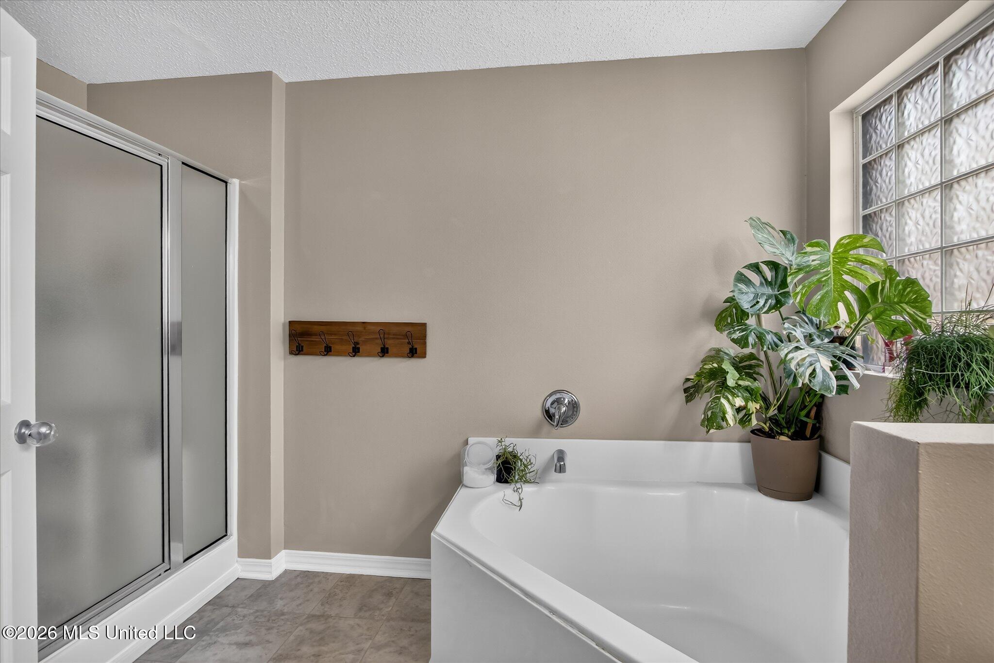 15077 Clear Springs Drive Property Photo 4