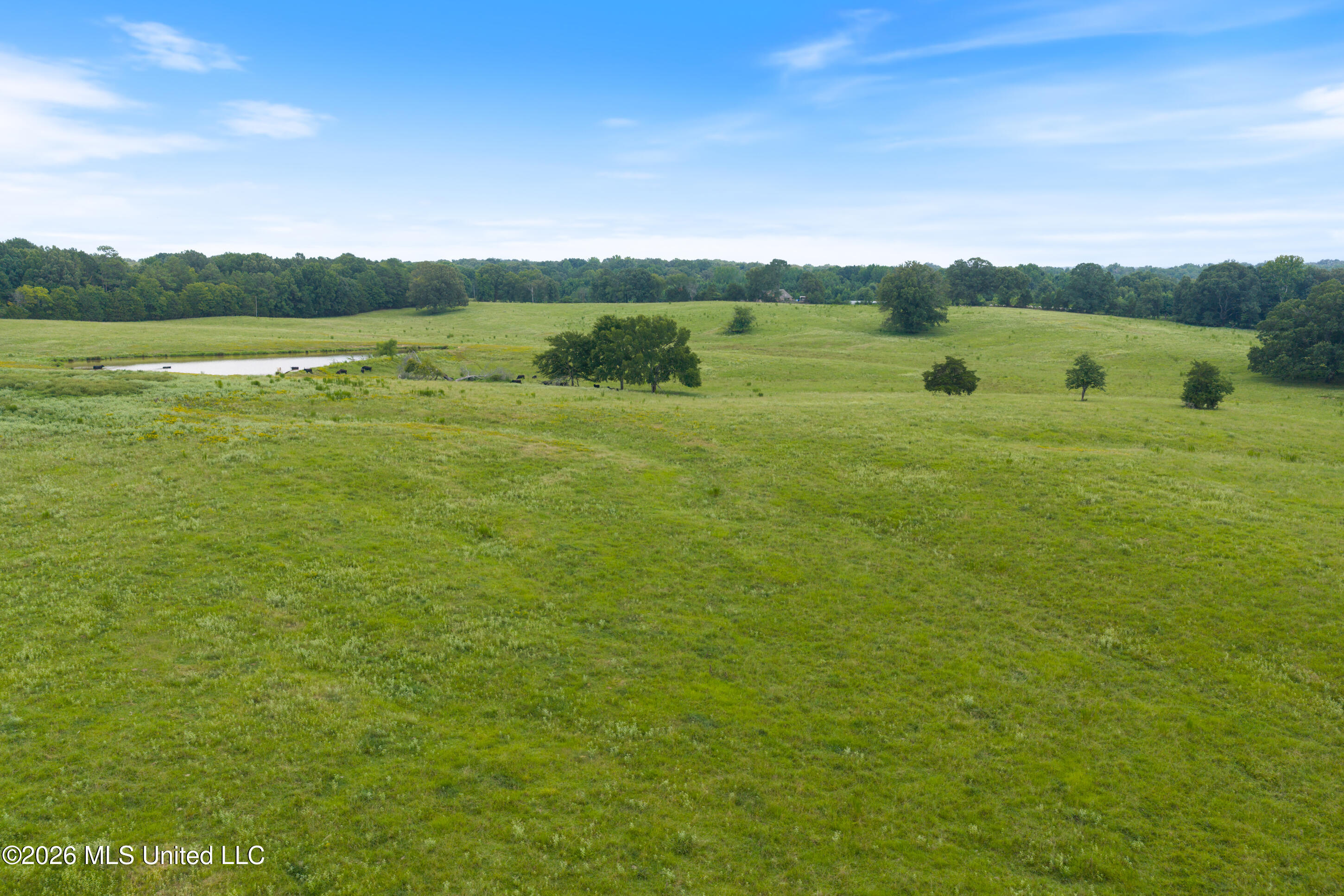 799 Looxahoma Circle Property Photo 8
