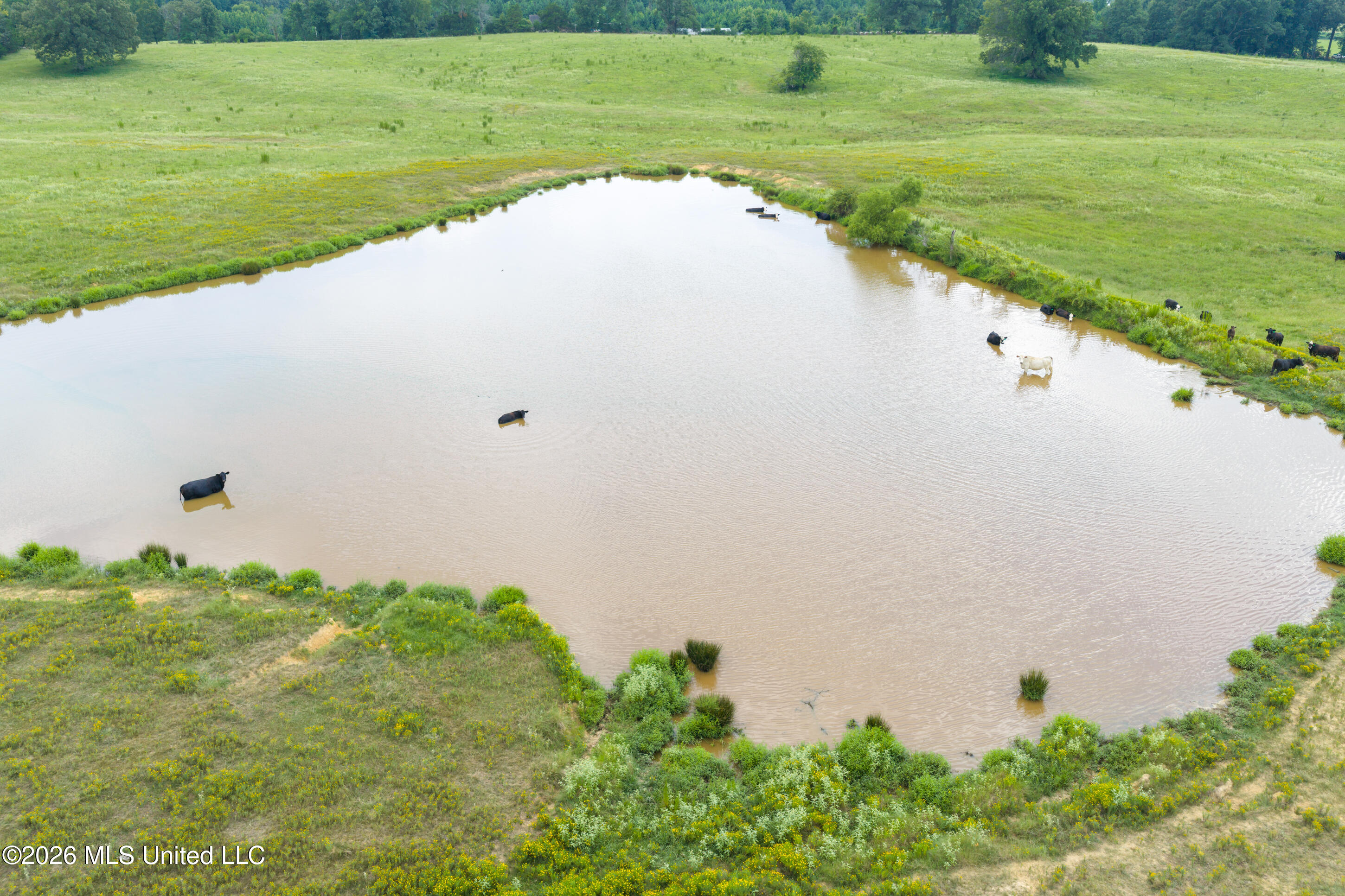 799 Looxahoma Circle Property Photo 10