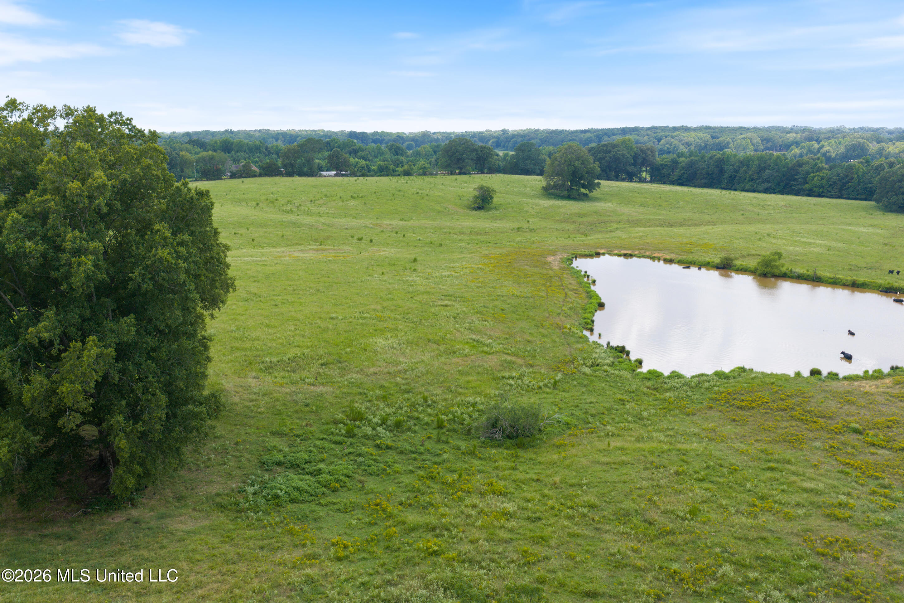 799 Looxahoma Circle Property Photo 11