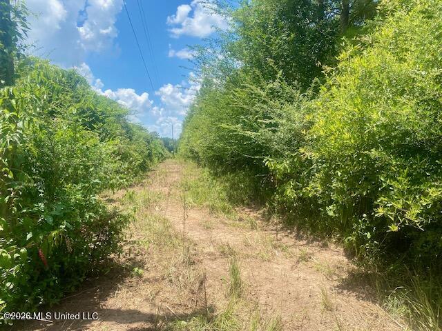 Archie Boyd Road Property Photo 1