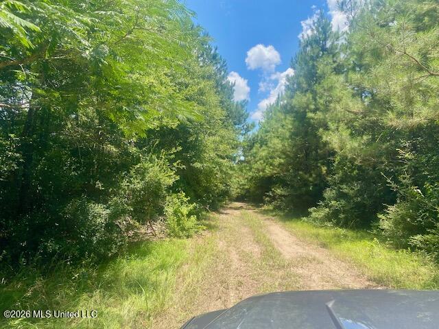 Archie Boyd Road Property Photo 9