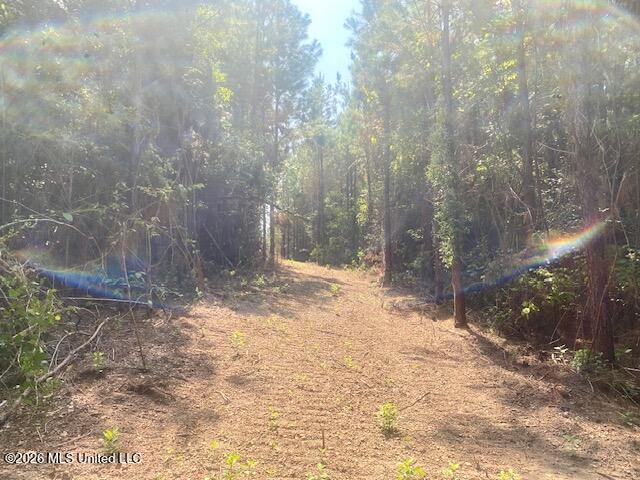 Archie Boyd Road Property Photo 18