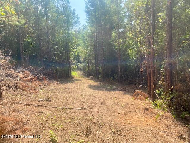 Archie Boyd Road Property Photo 21