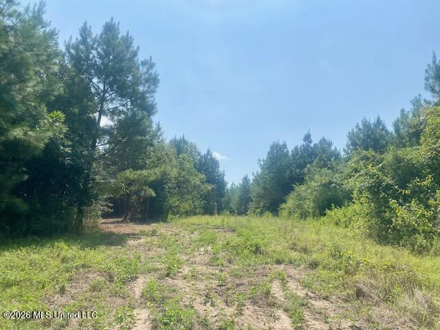 Archie Boyd Road Property Photo 23