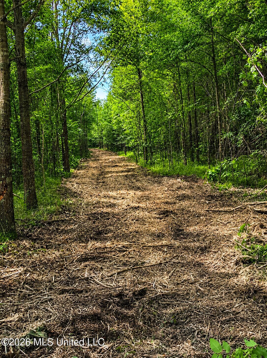 County Rd 550 Property Photo 4