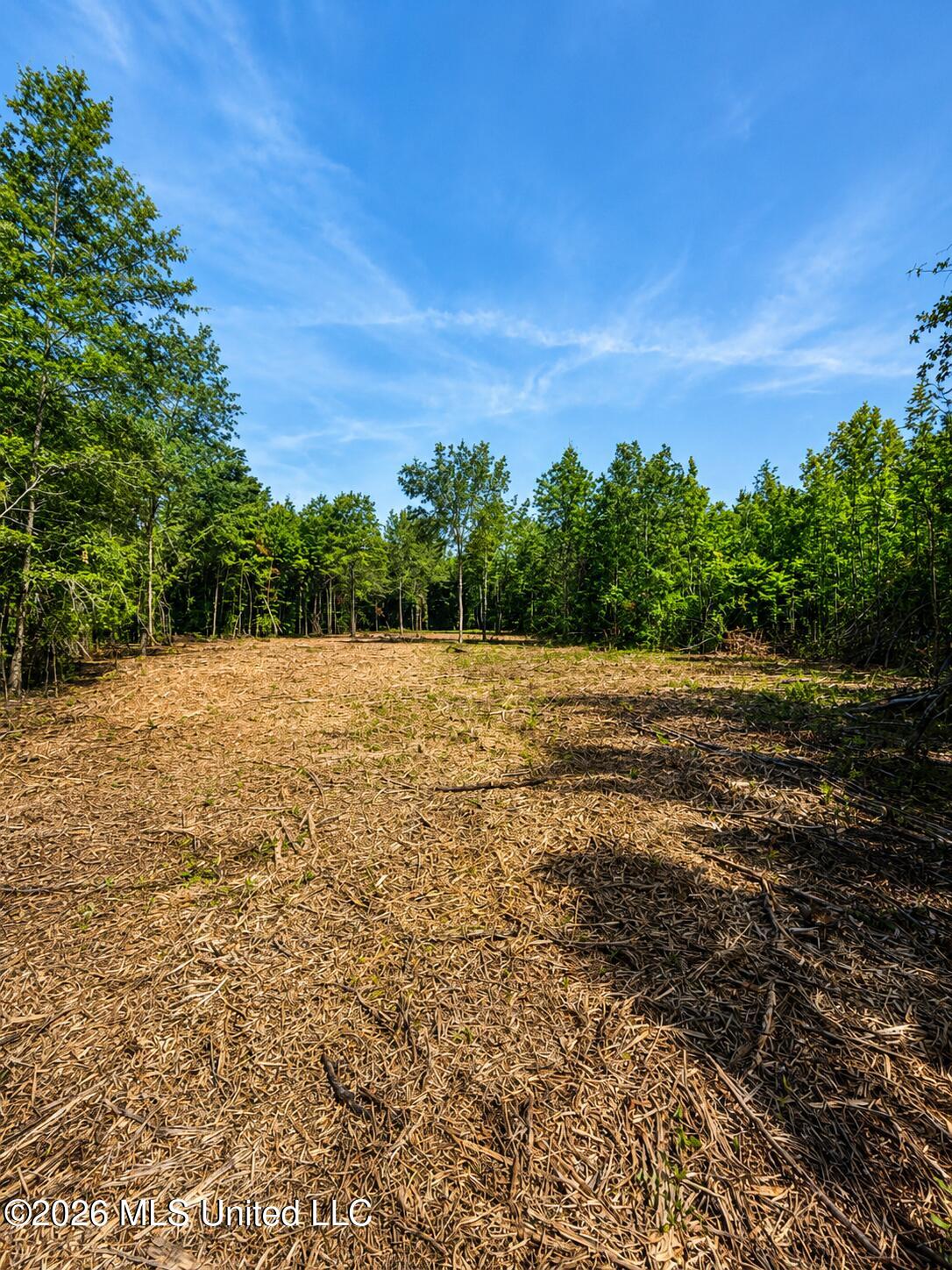 County Rd 550 Property Photo 5