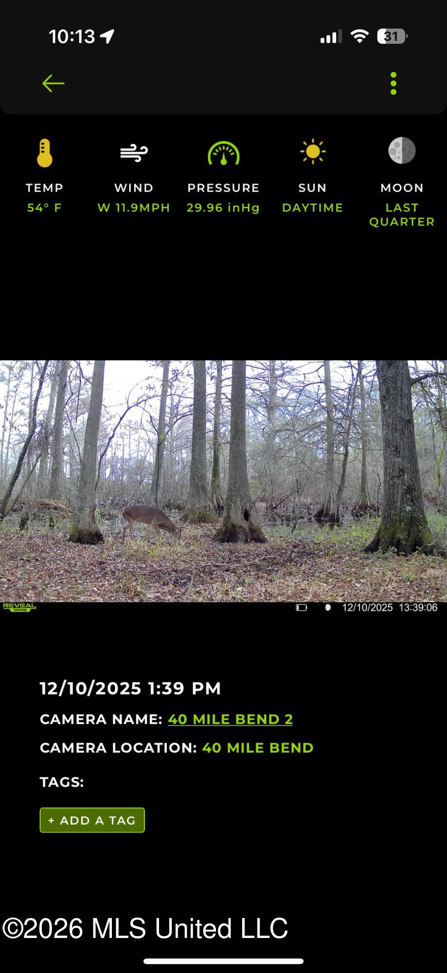 County Rd 550 Property Photo 14