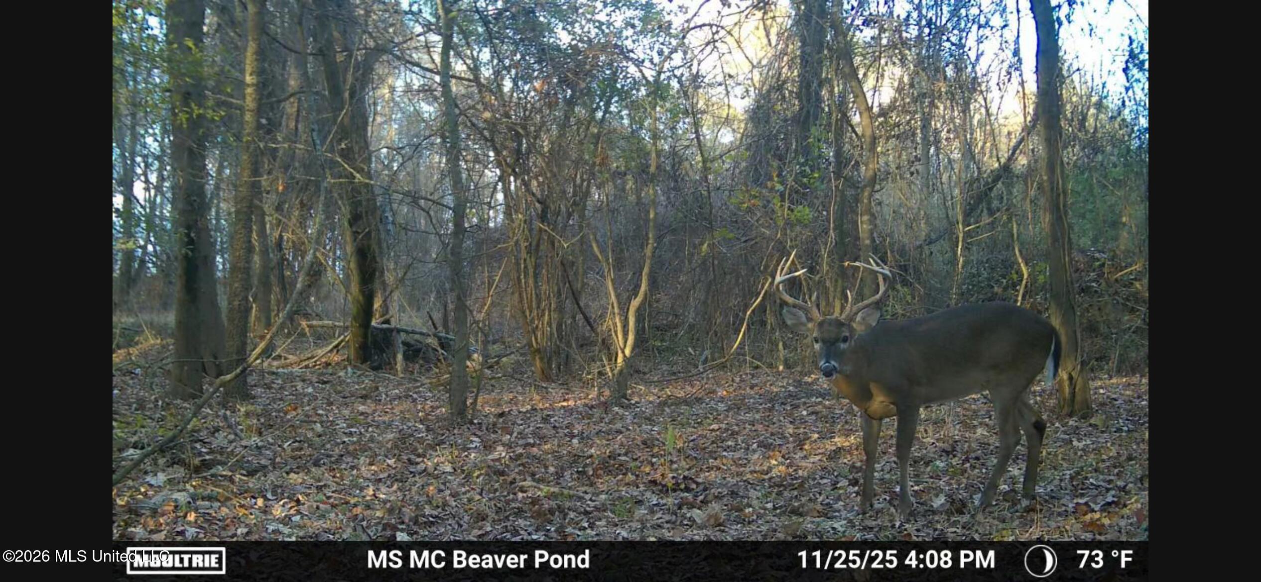County Rd 550 Property Photo 15
