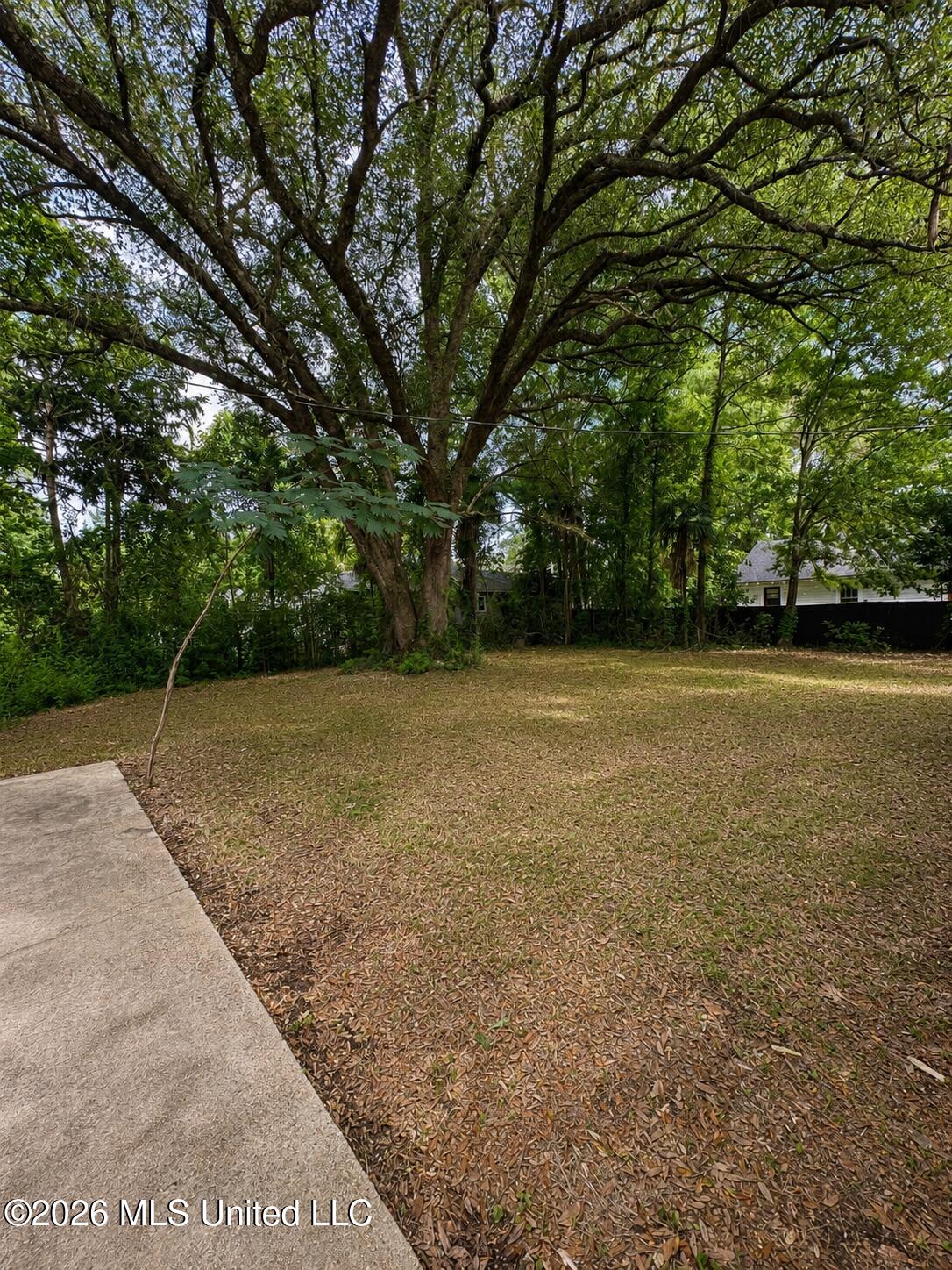 1808 Center Street Property Photo 4