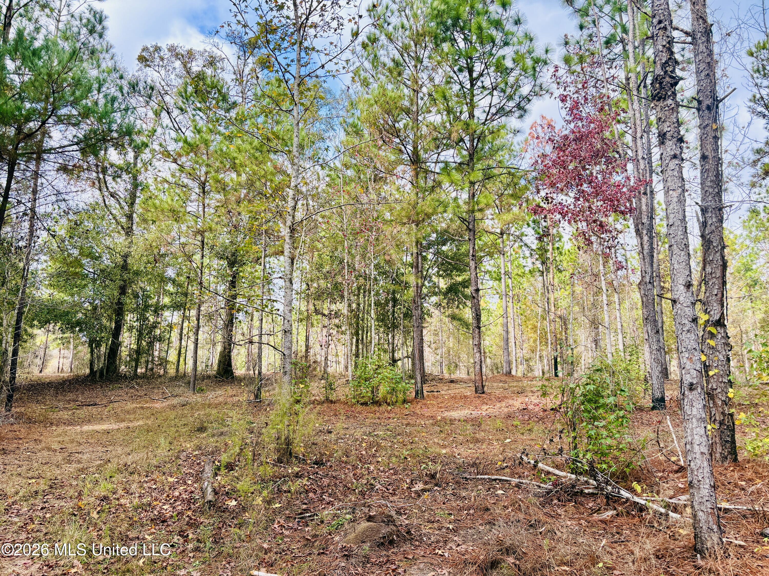 E Beasley Road Property Photo 8