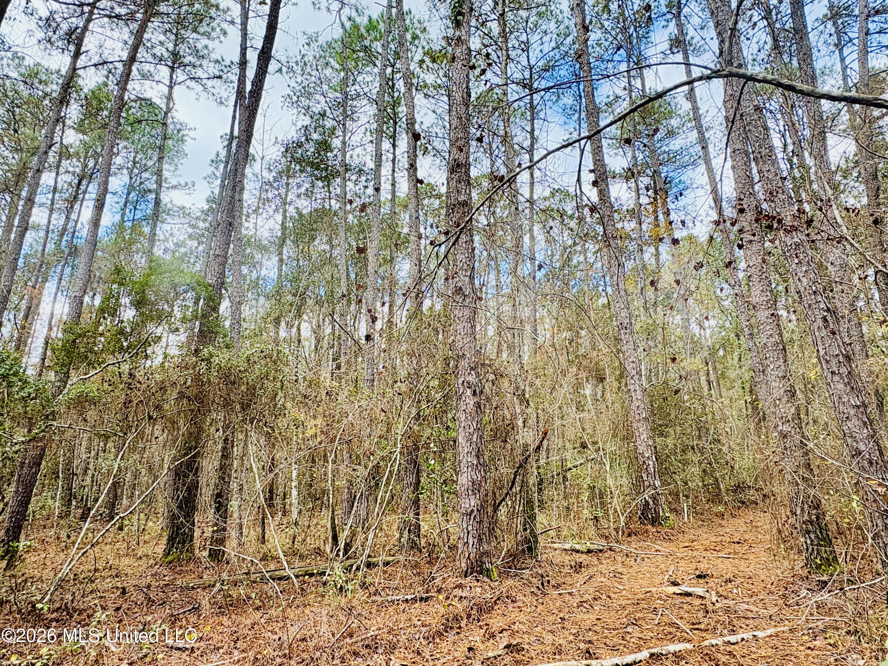 E Beasley Road Property Photo 10