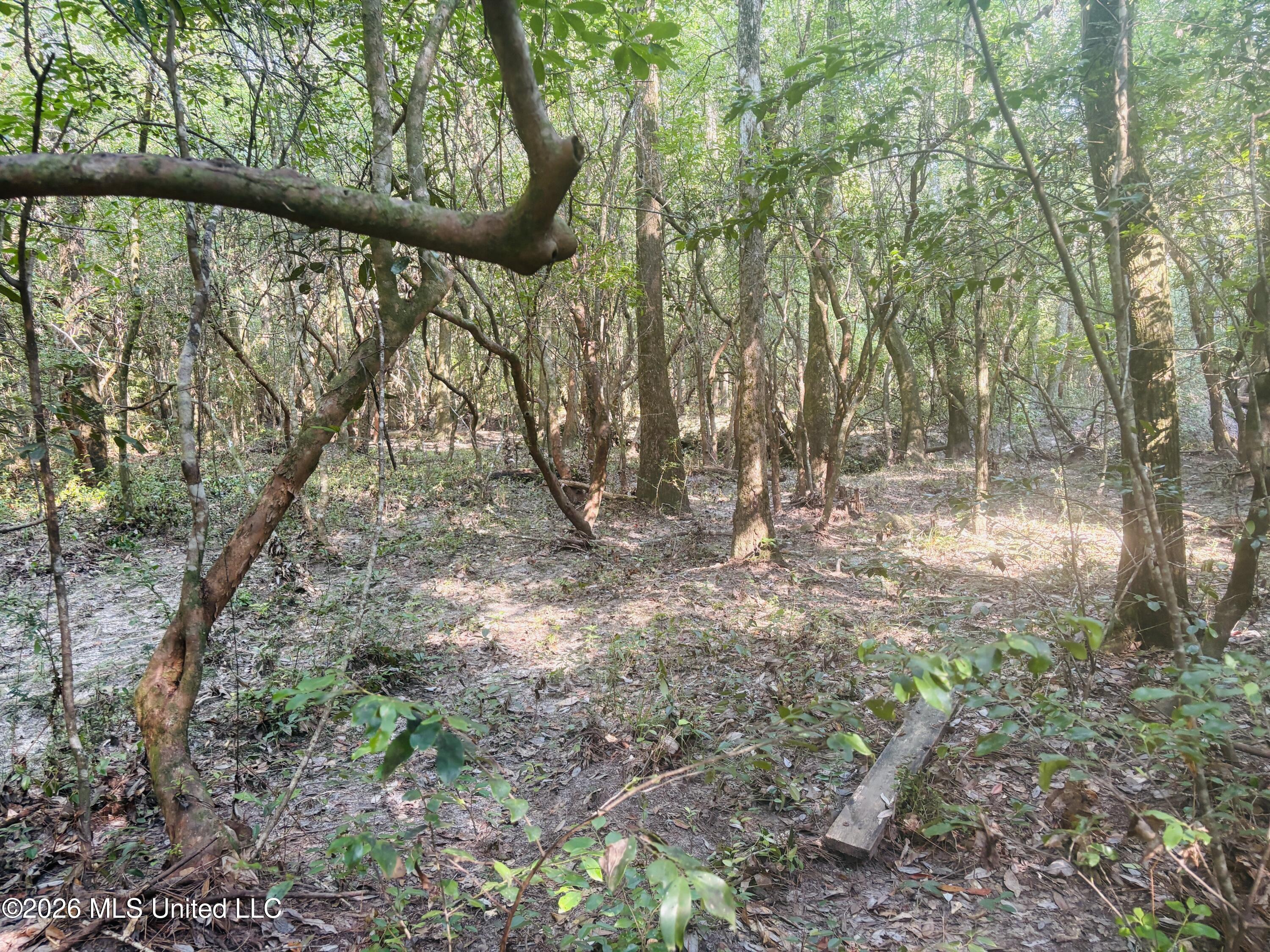 E Beasley Road Property Photo 11