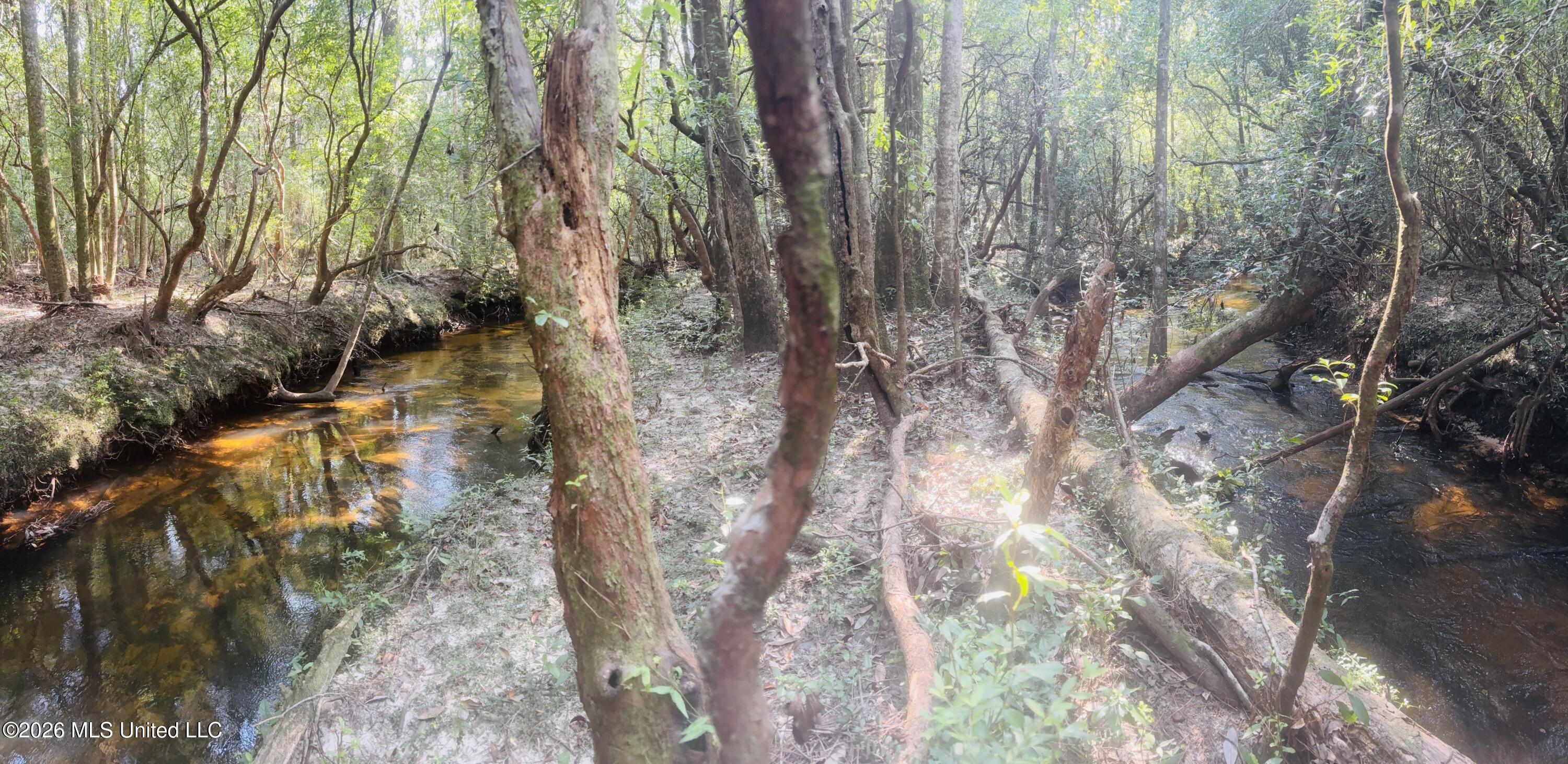 E Beasley Road Property Photo 16