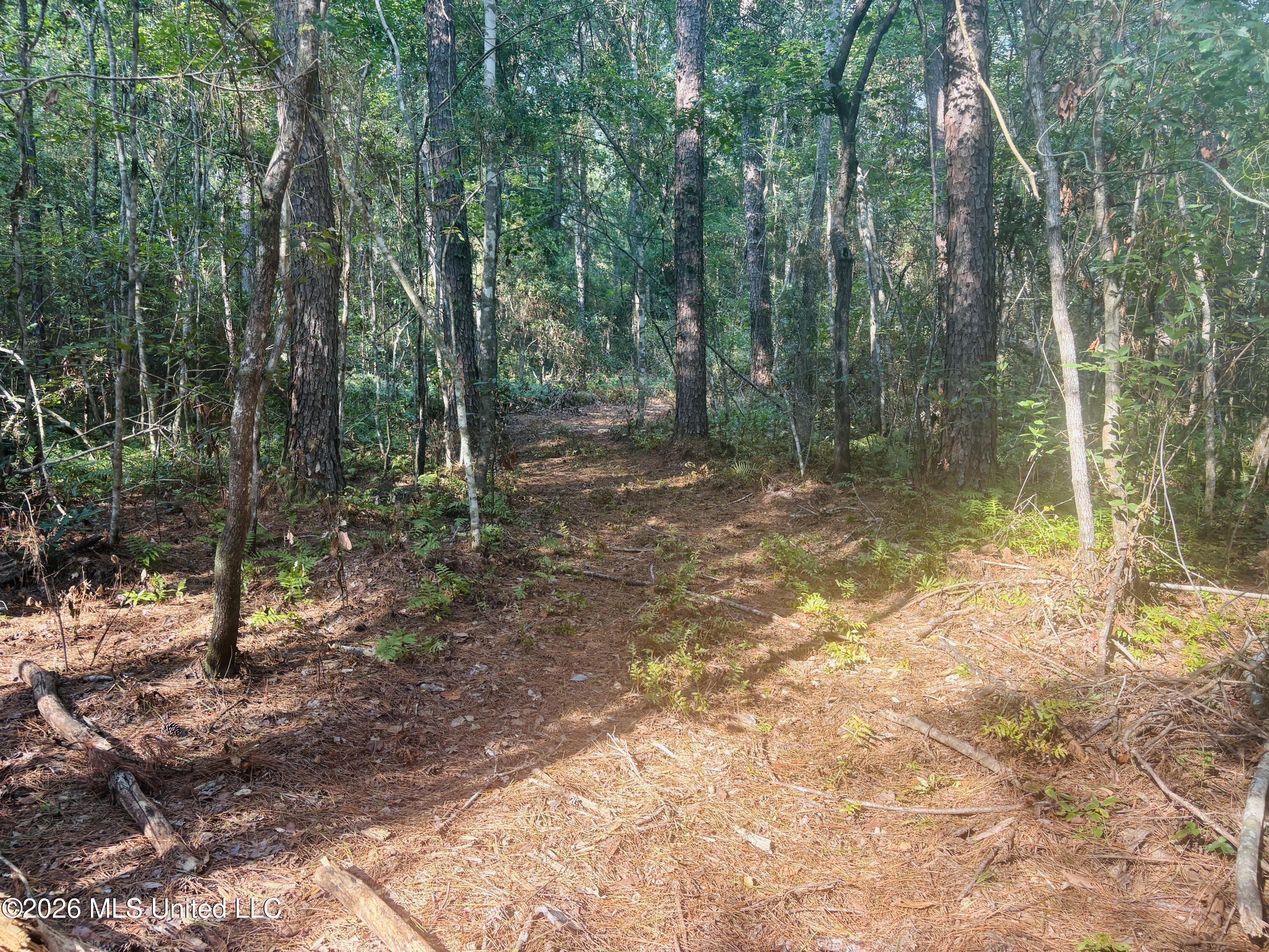 E Beasley Road Property Photo 17