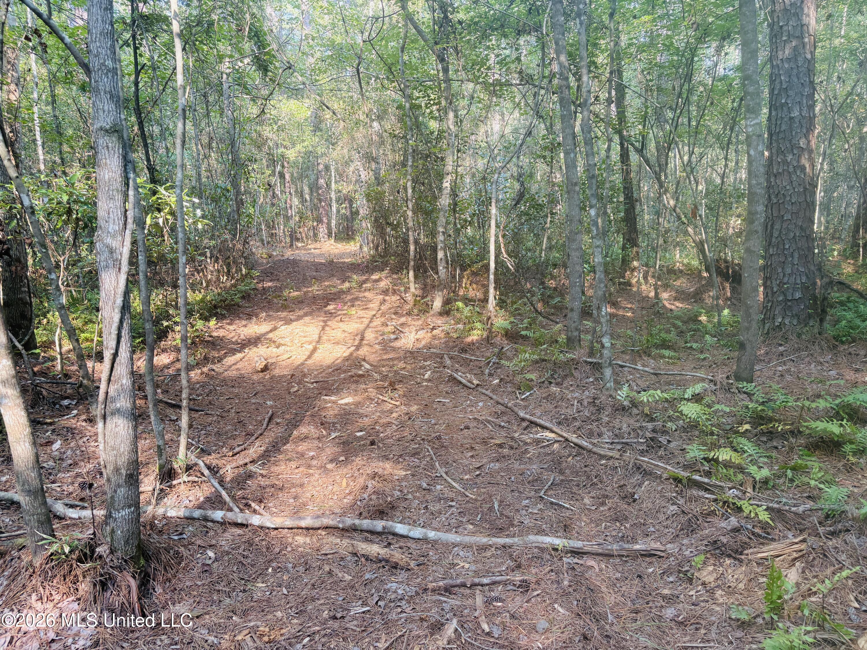E Beasley Road Property Photo 20