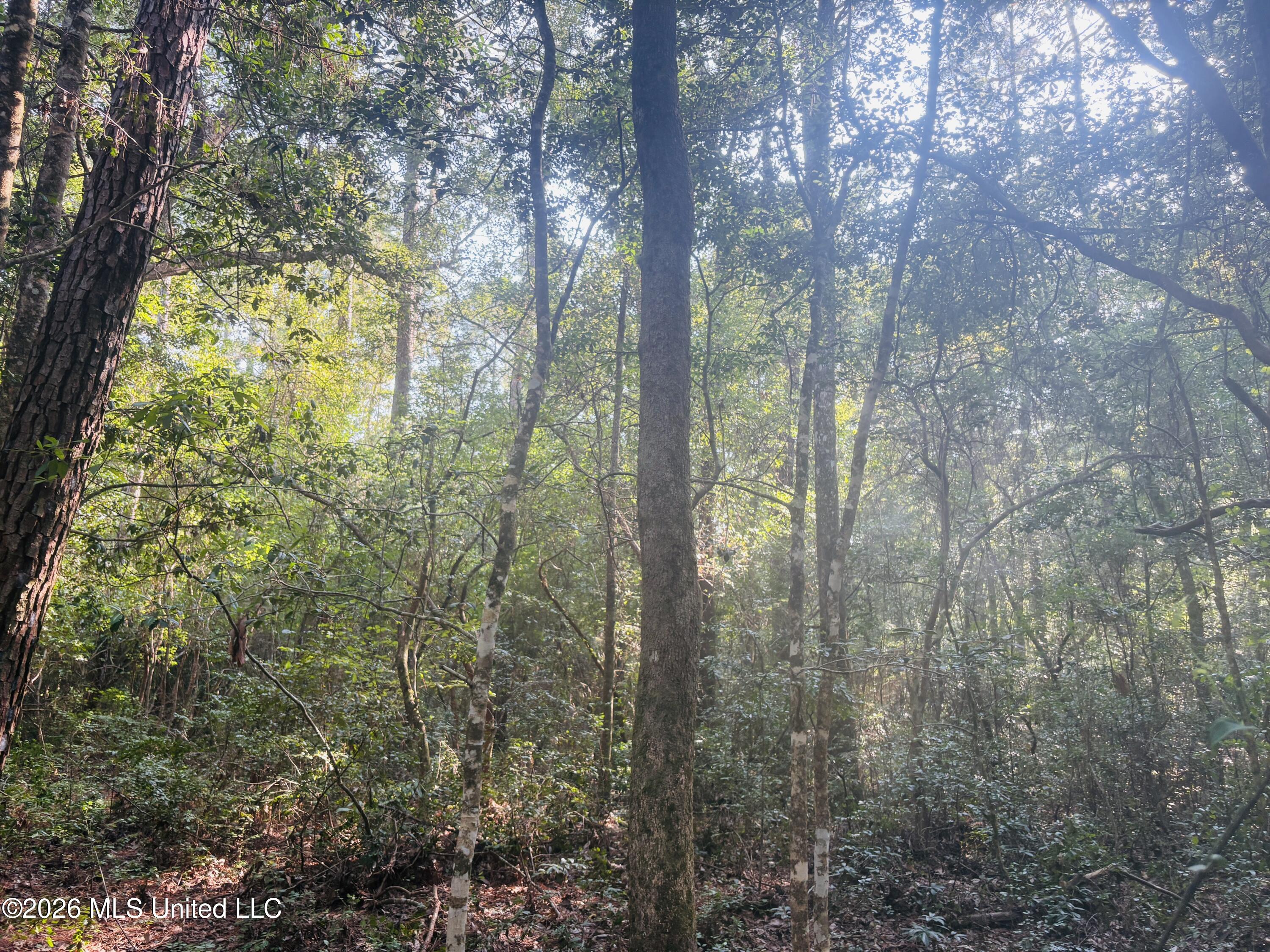E Beasley Road Property Photo 21
