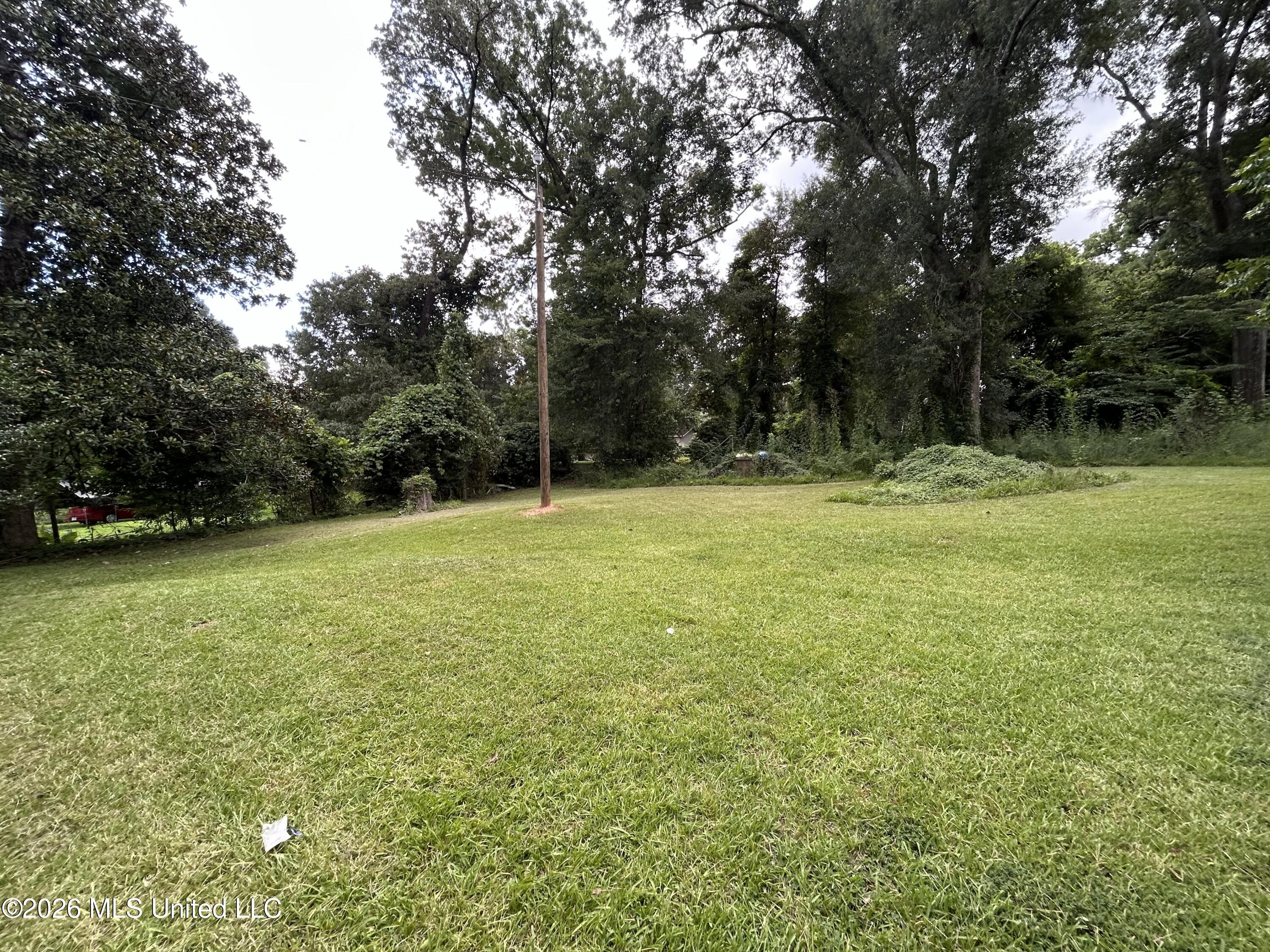 915 White Street Property Photo 22