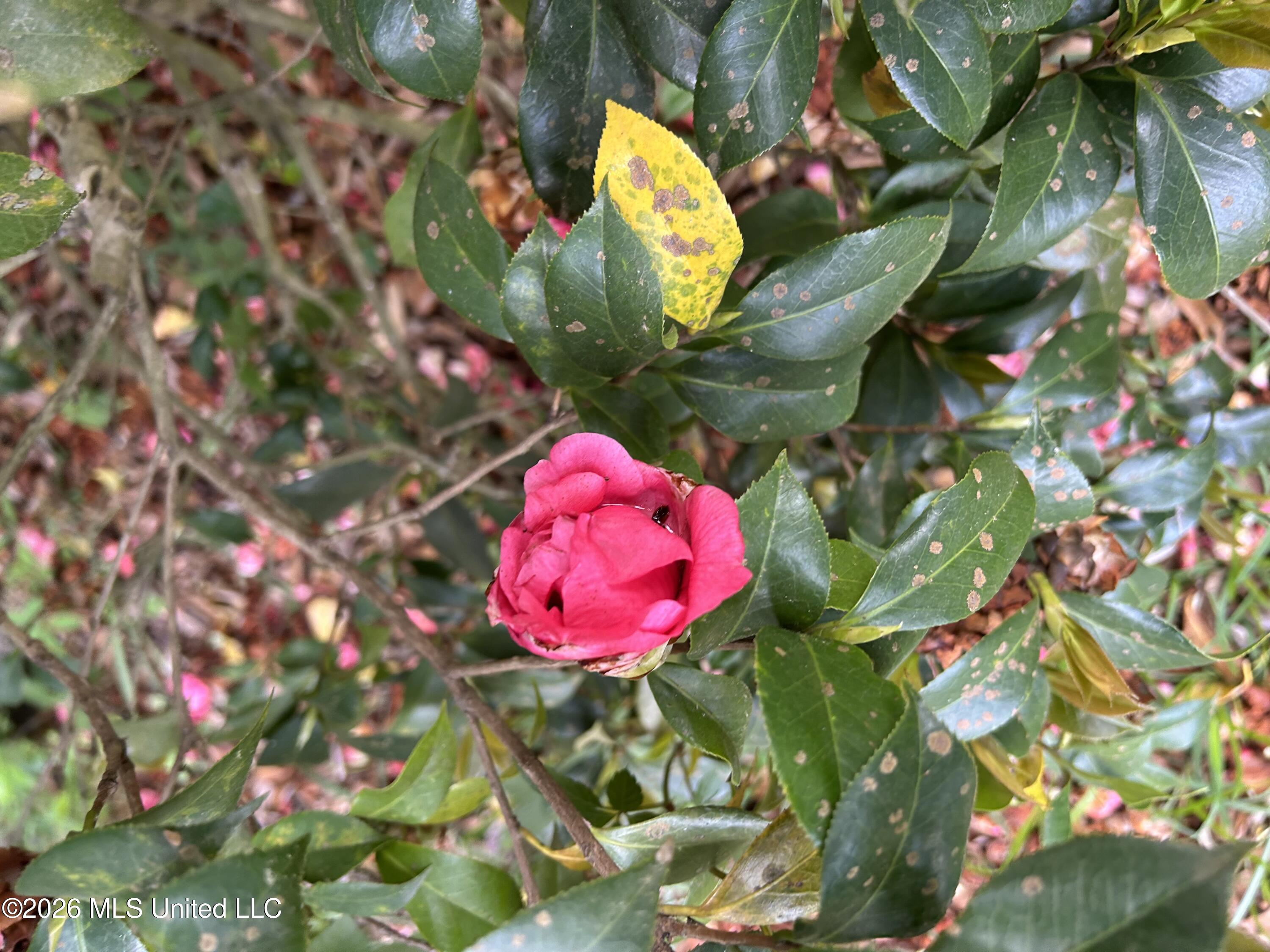 915 White Street Property Photo 24