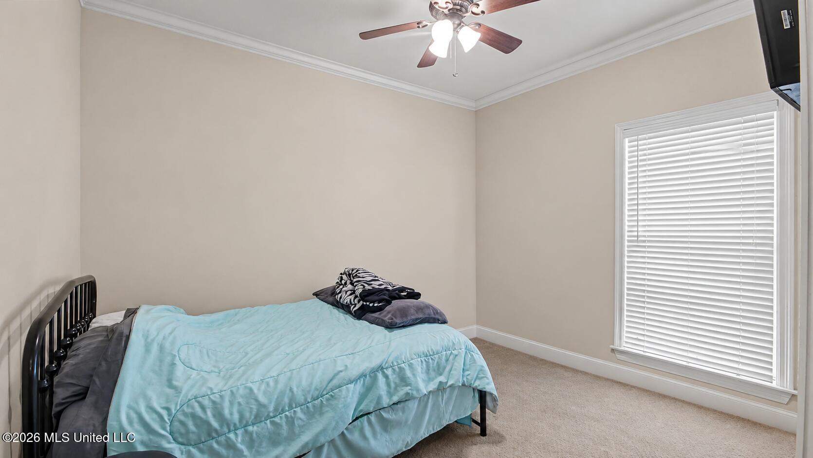 117 Devlin Springs Drive Property Photo 13