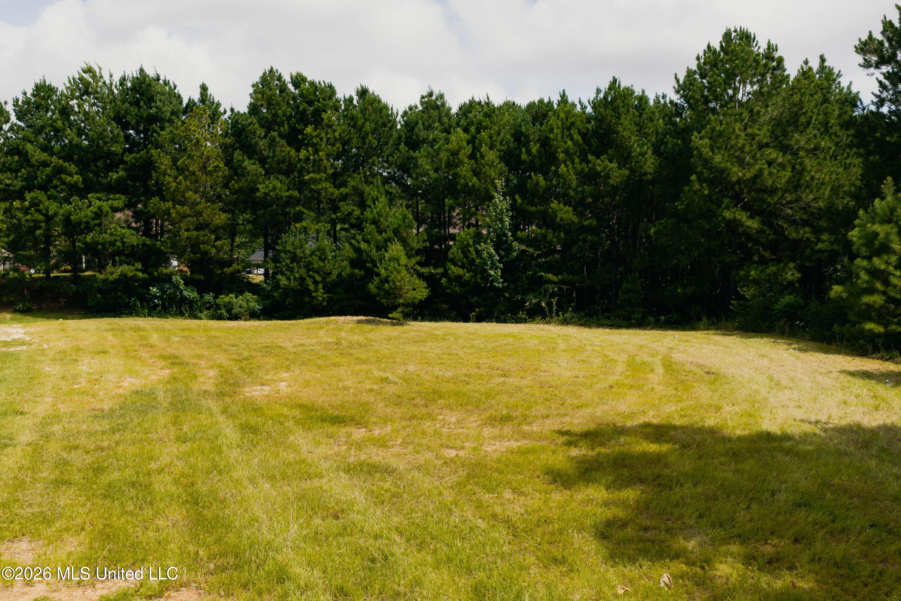 Allgood Road Property Photo 5