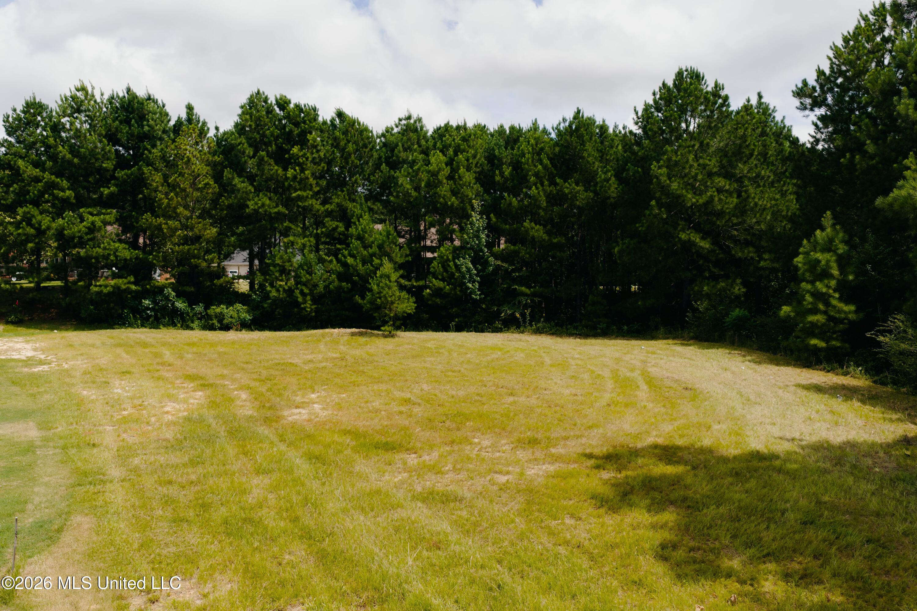 Allgood Road Property Photo 6