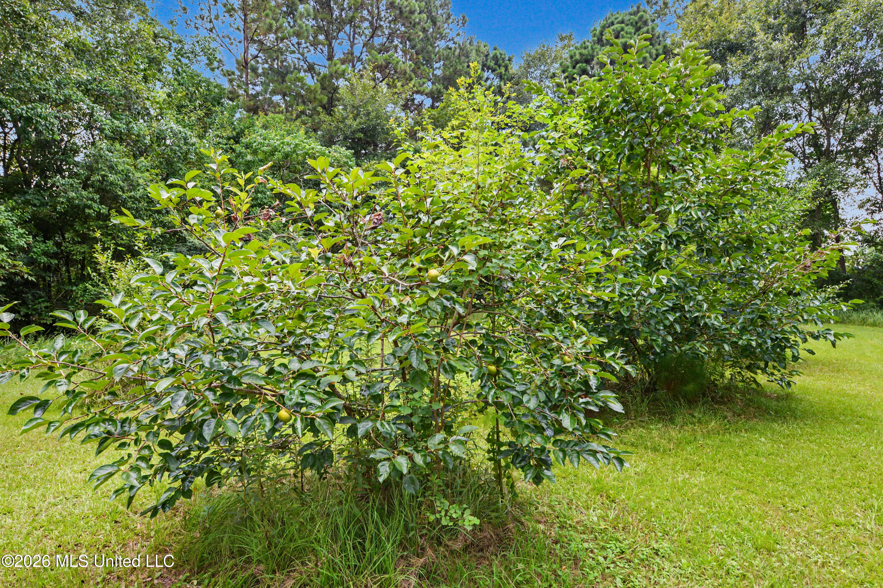 2147 Hwy 613 Property Photo 27