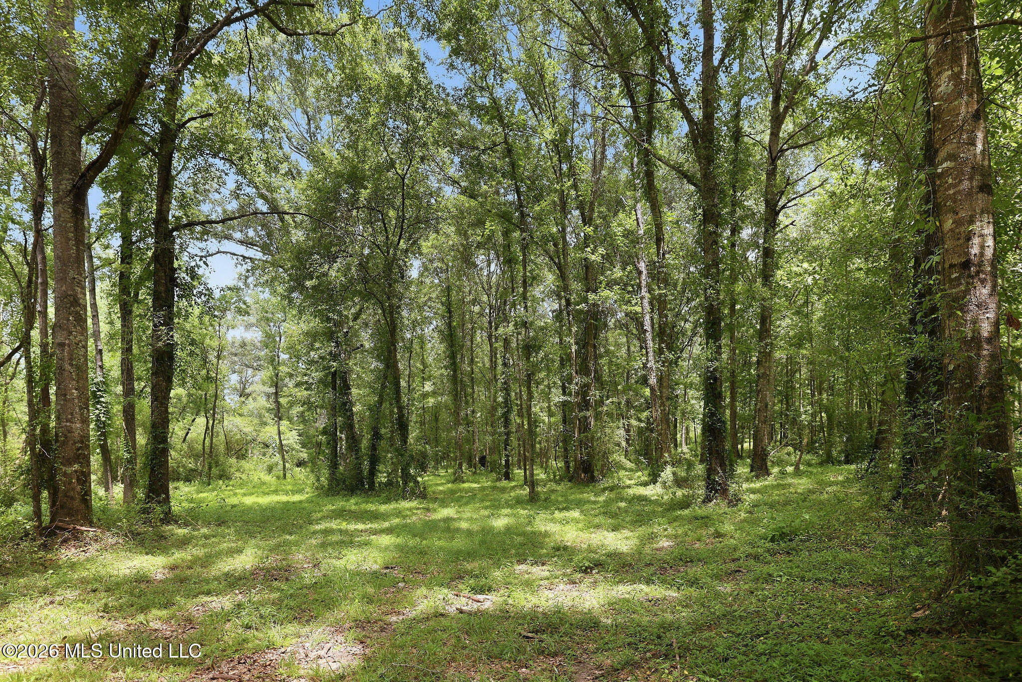 20471 La-10 Property Photo 16