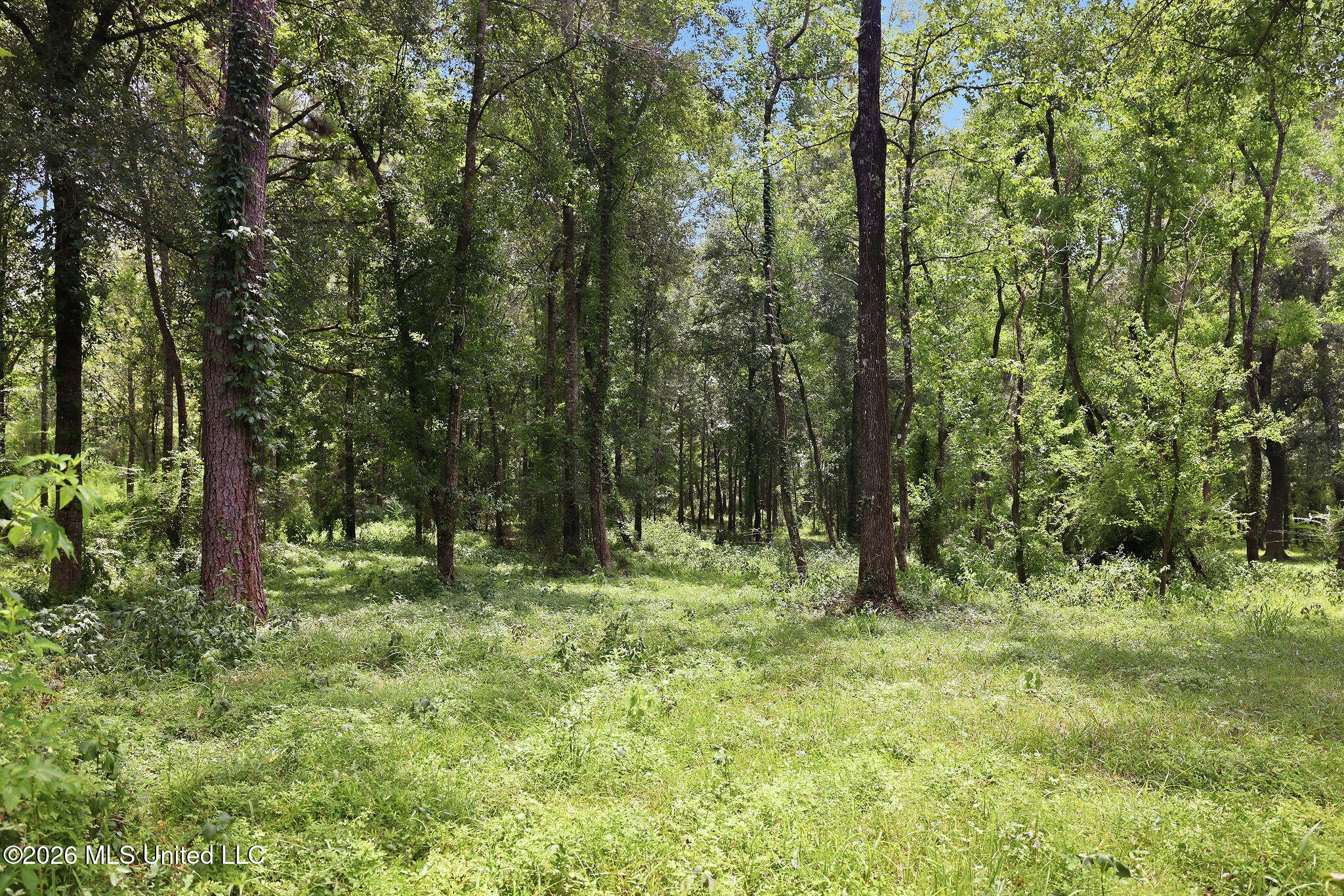 20471 La-10 Property Photo 20