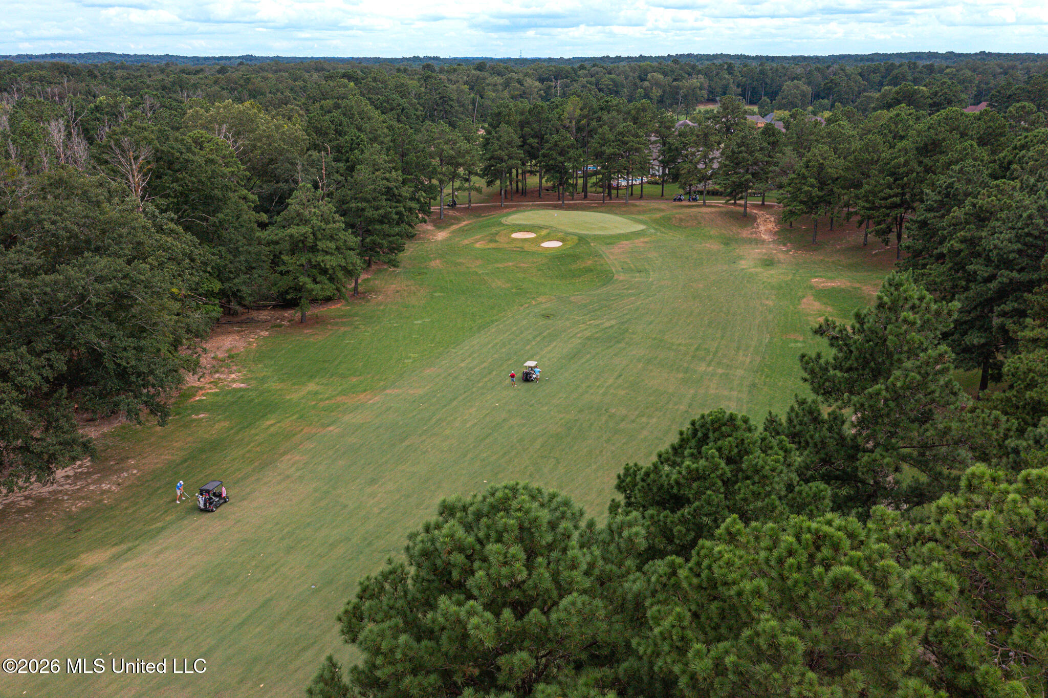 160 Apple Blossom Drive Property Photo 46
