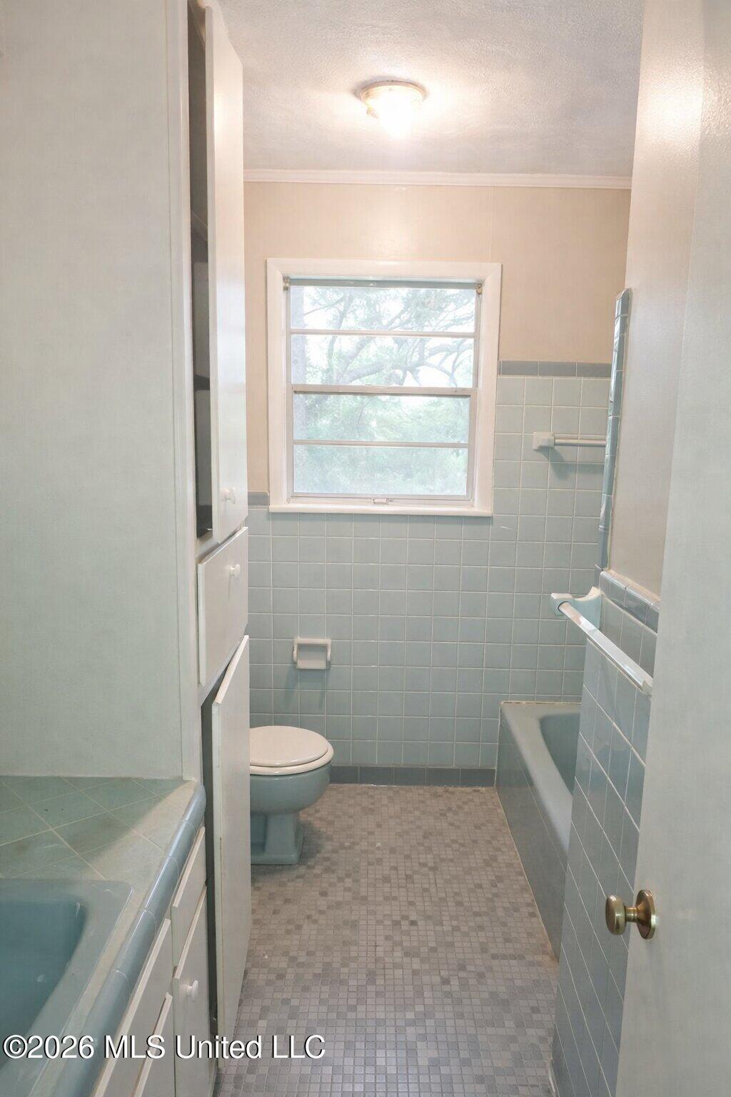 190 Road 151 Property Photo 6