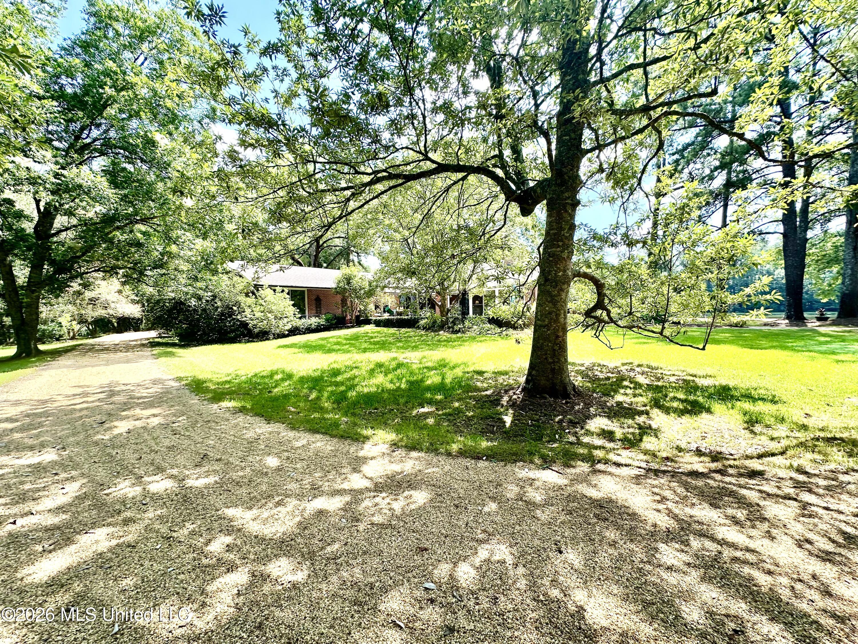 1858 E Lincoln Road Property Photo 65