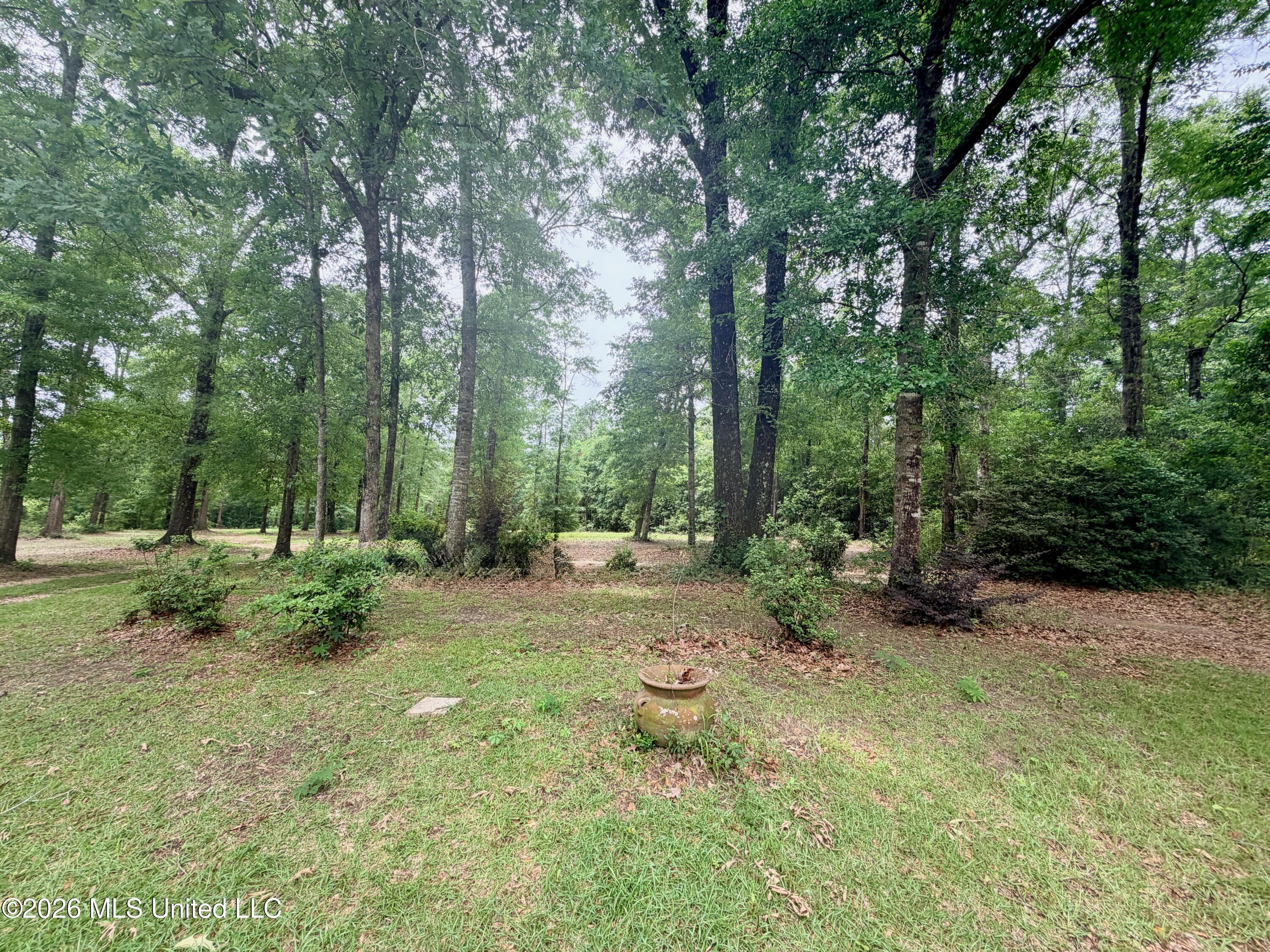 181 Geiger Road Property Photo 22
