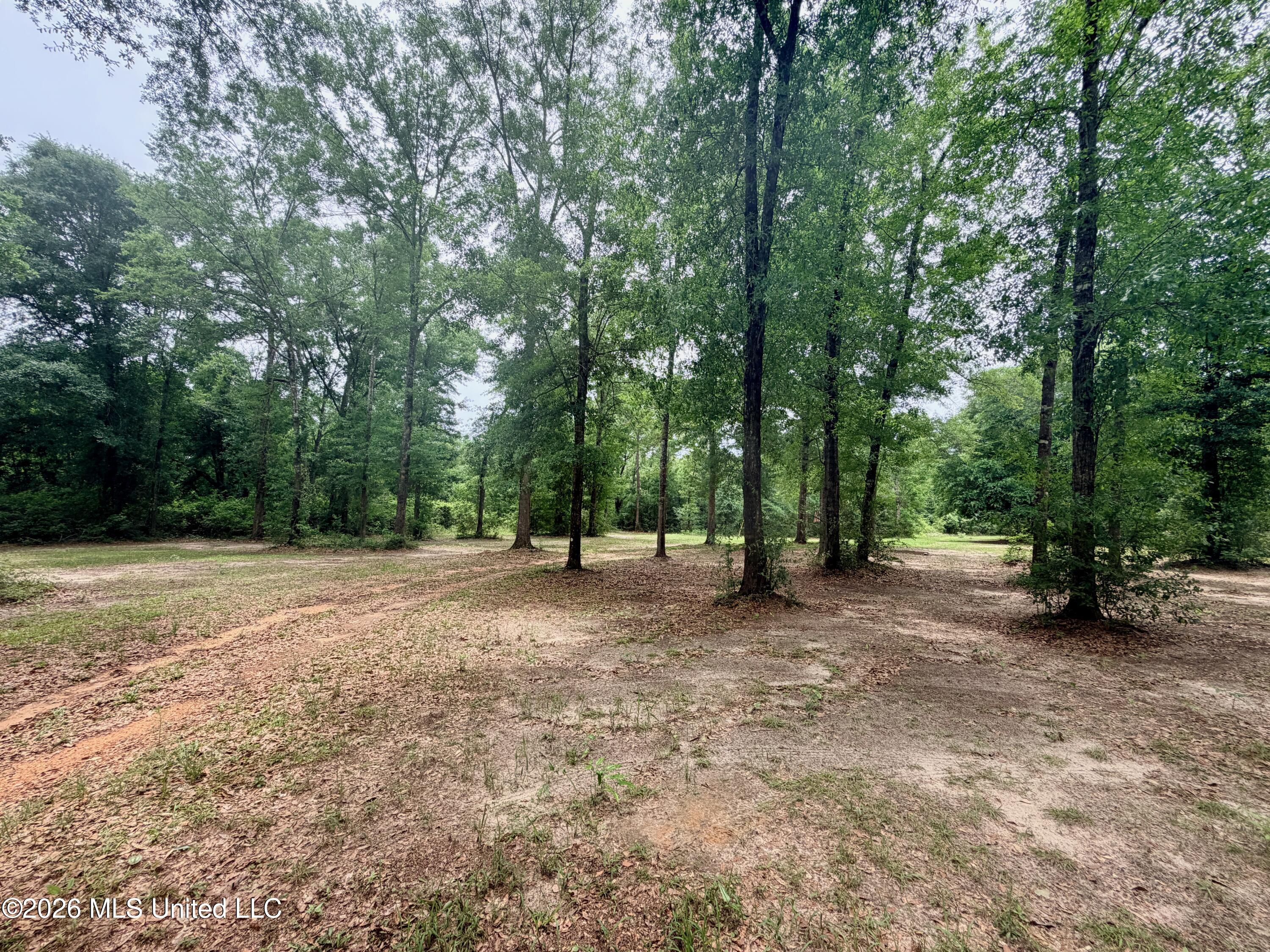 181 Geiger Road Property Photo 31