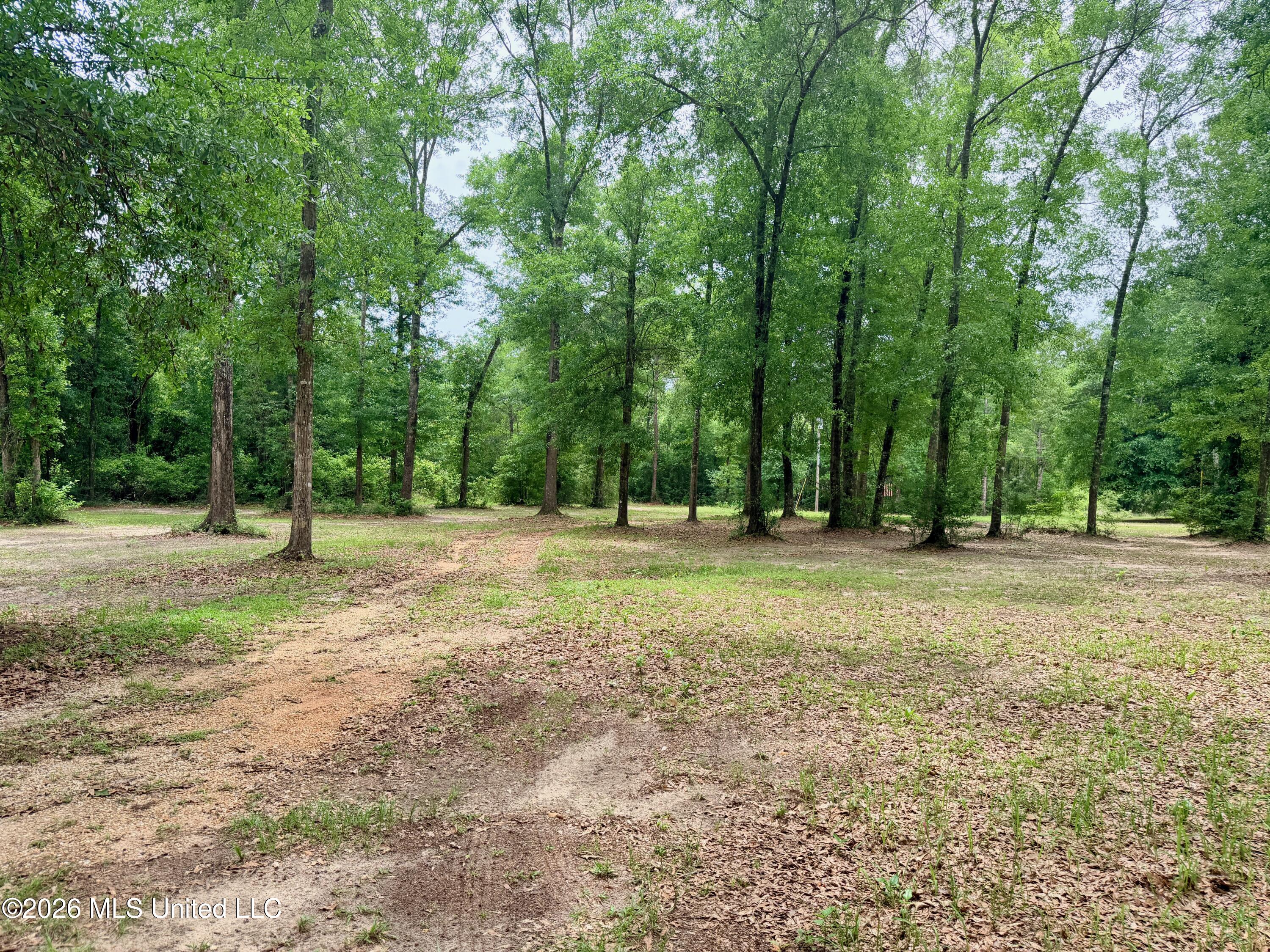 181 Geiger Road Property Photo 32