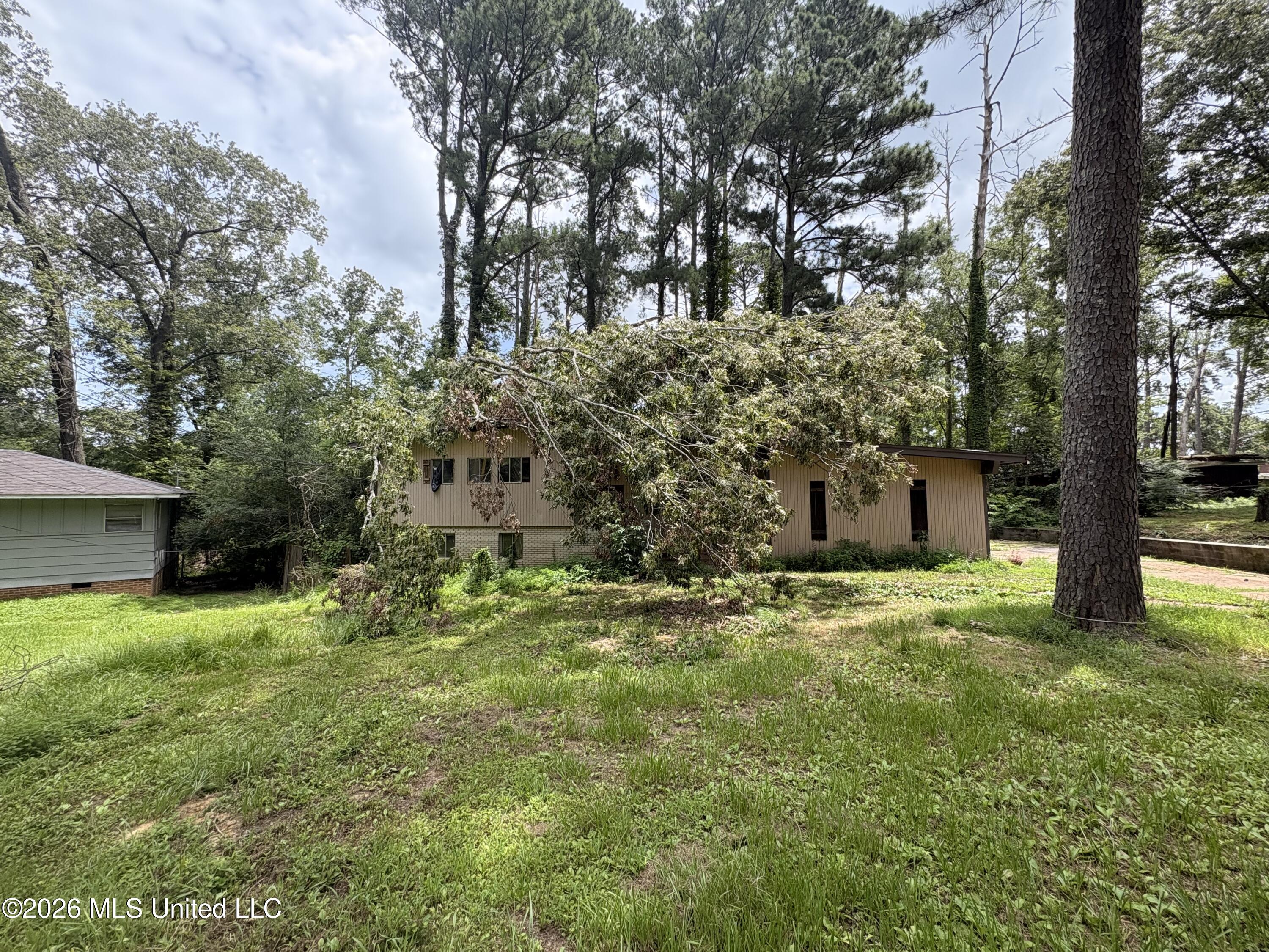 2729 E Benwood Drive Property Photo 2