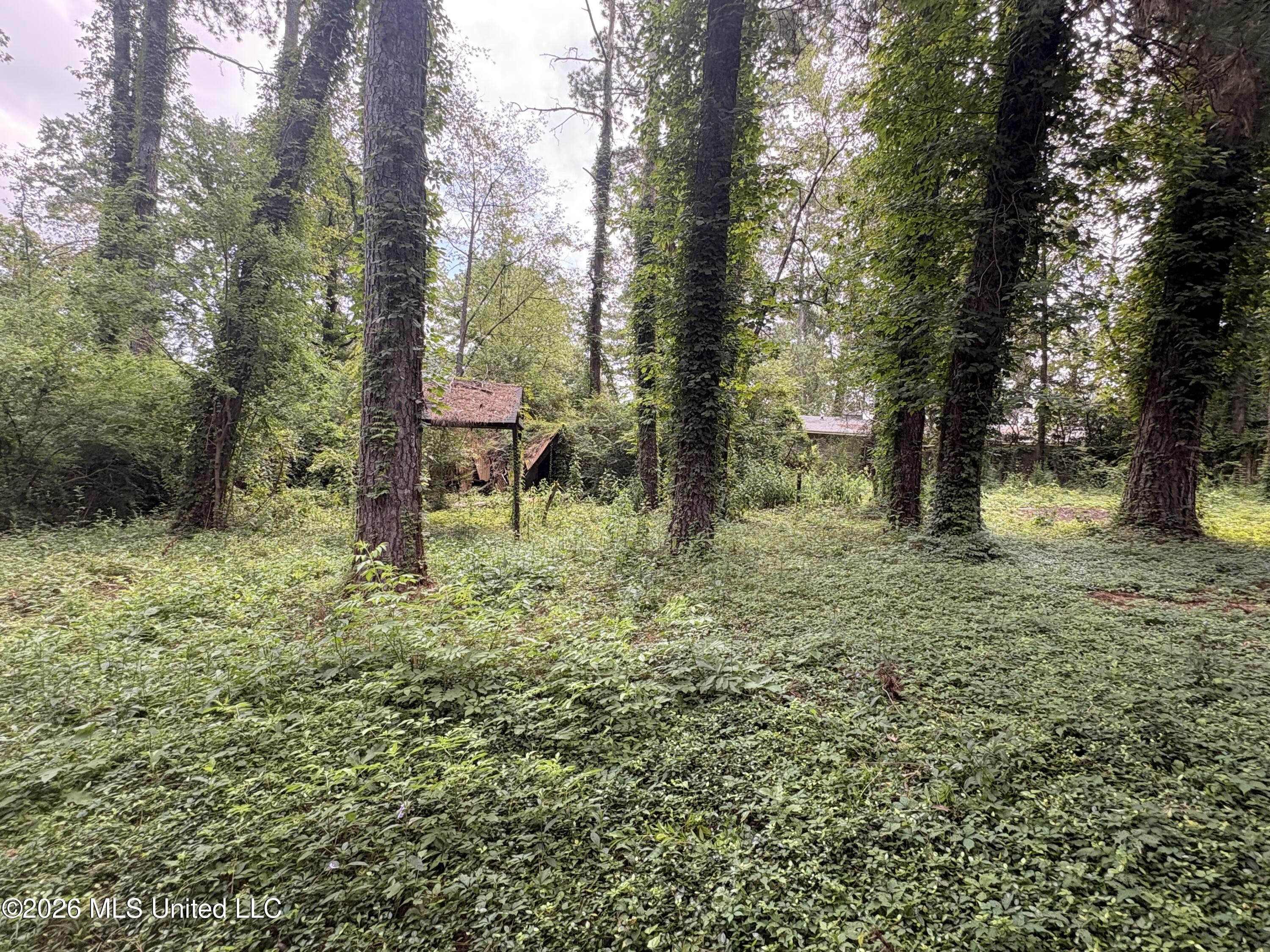 2729 E Benwood Drive Property Photo 6