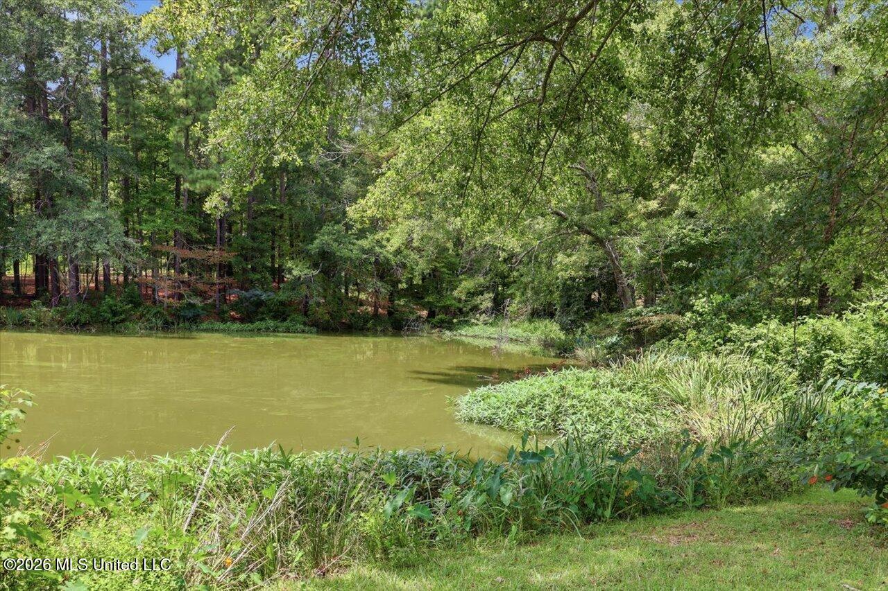 145 Wynndale Lake Road Property Photo 56