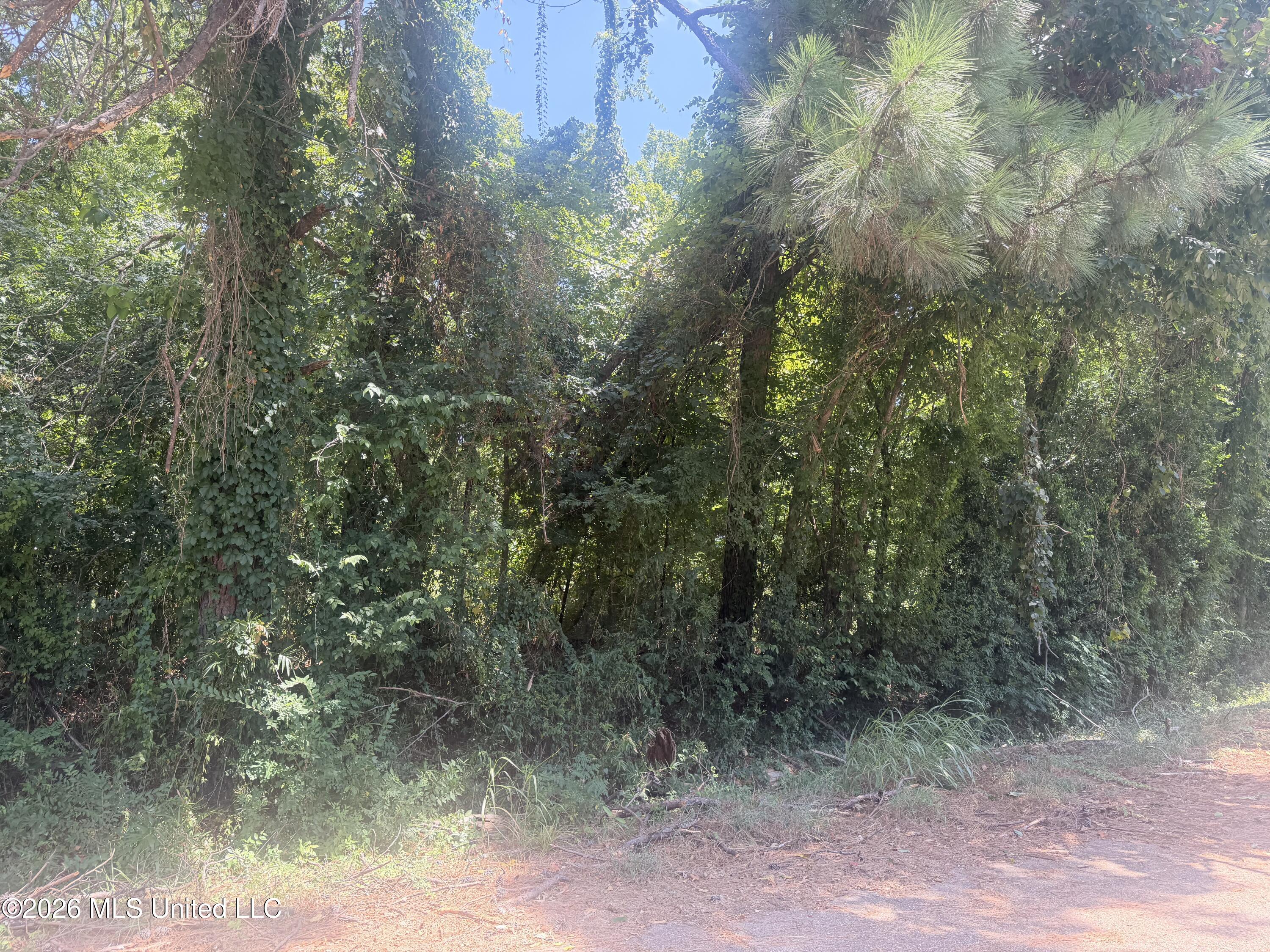 0 Woodhaven Property Photo 2