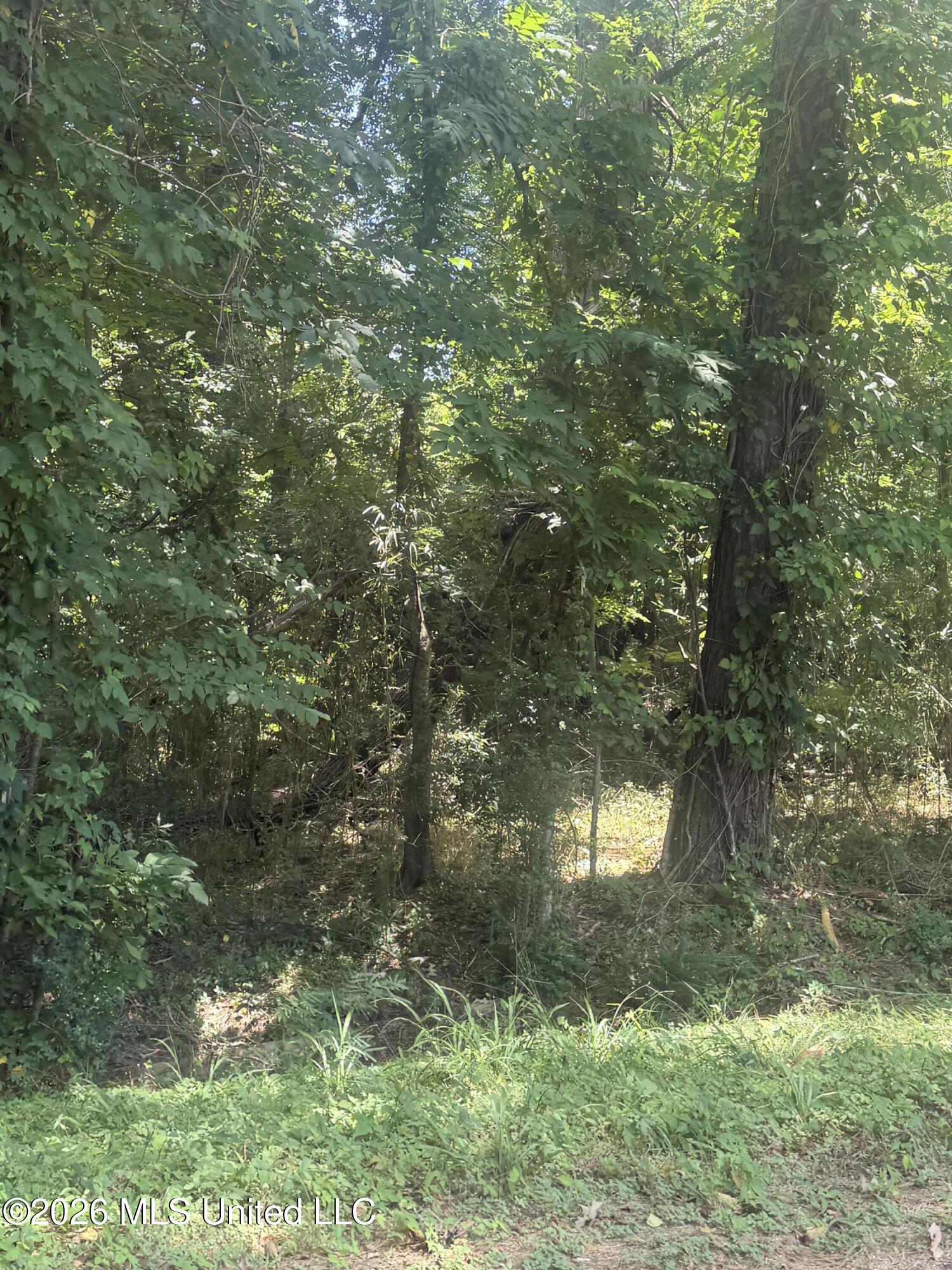 0 Woodhaven Property Photo 3