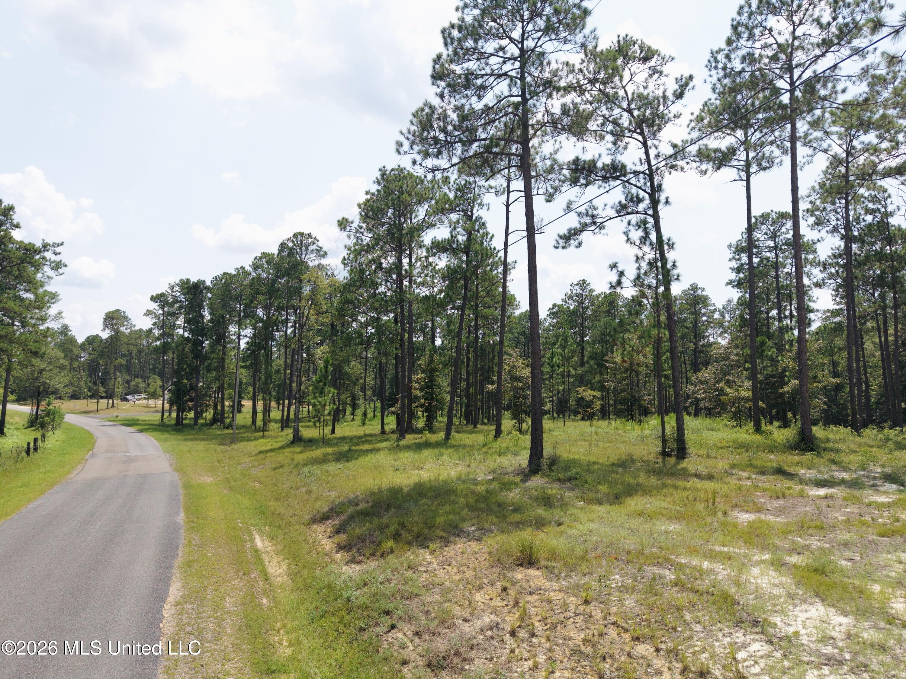 Cowart Holiday Road Property Photo 3
