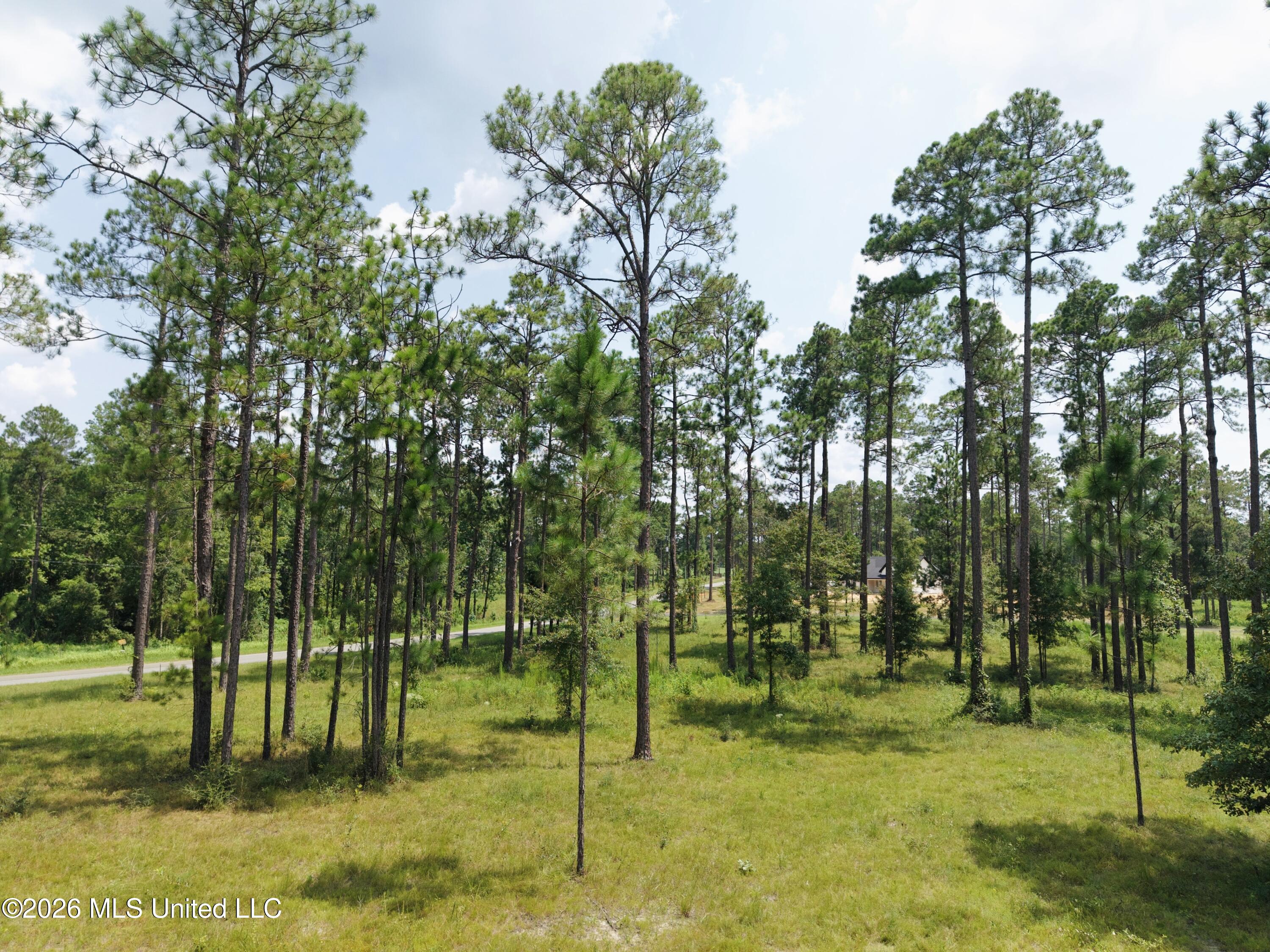 Cowart Holiday Road Property Photo 4