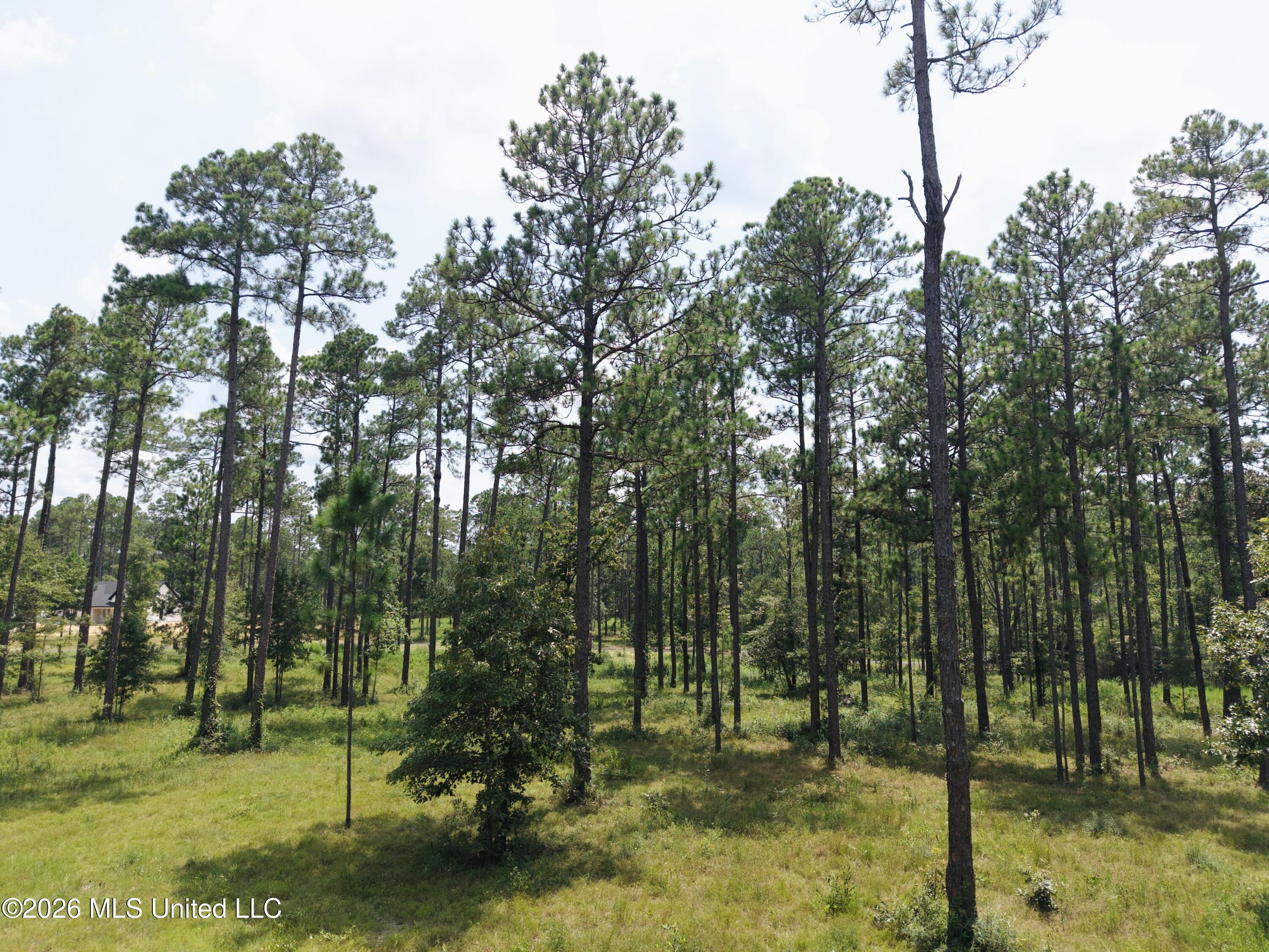 Cowart Holiday Road Property Photo 5
