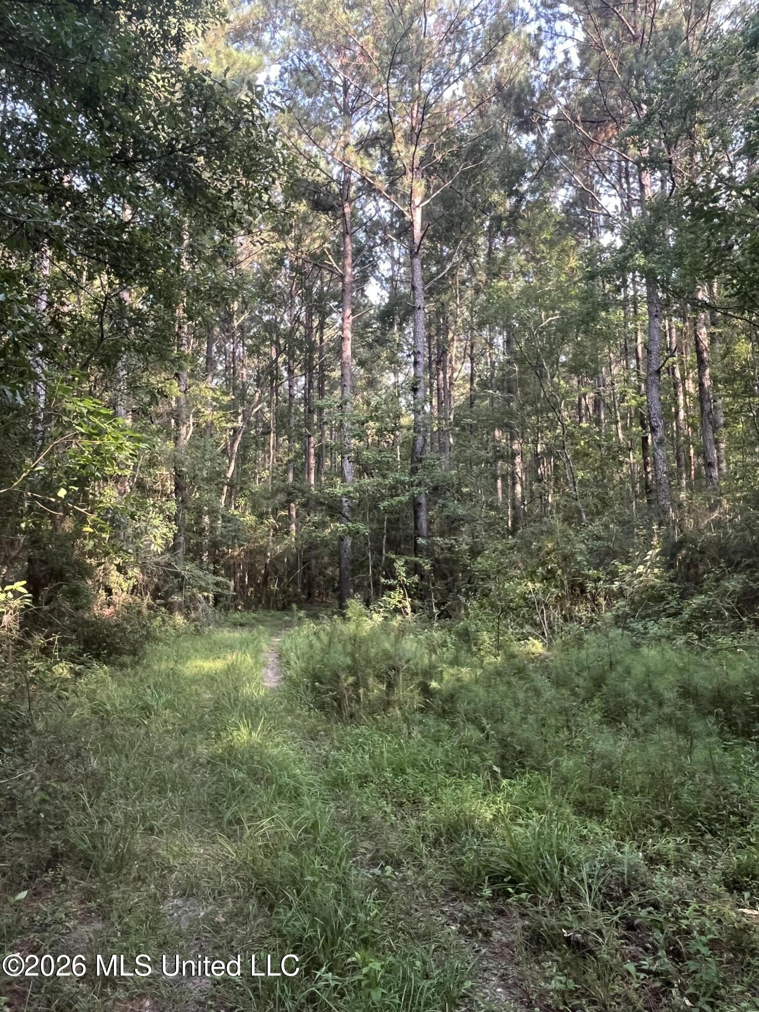 000 Crane Creek Rd Road Property Photo 2