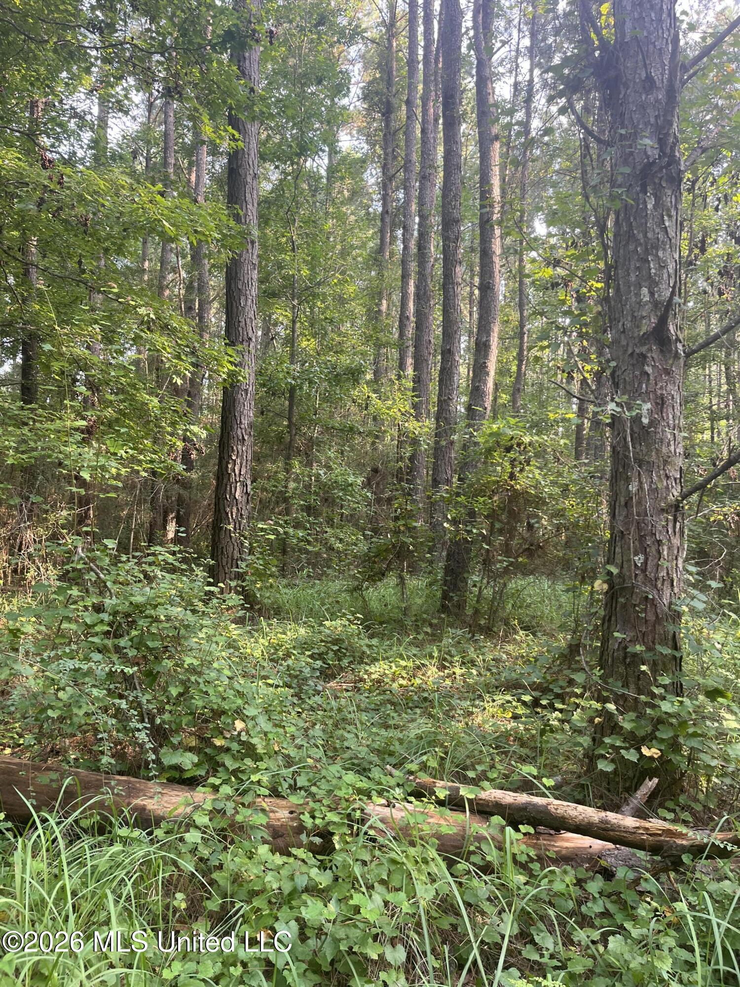 000 Crane Creek Rd Road Property Photo 4