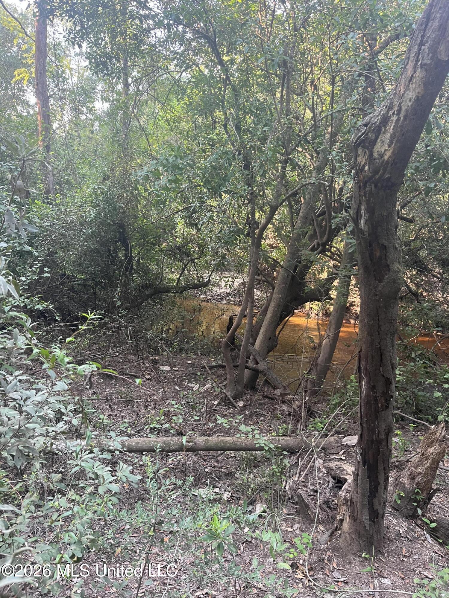 000 Crane Creek Rd Road Property Photo 5