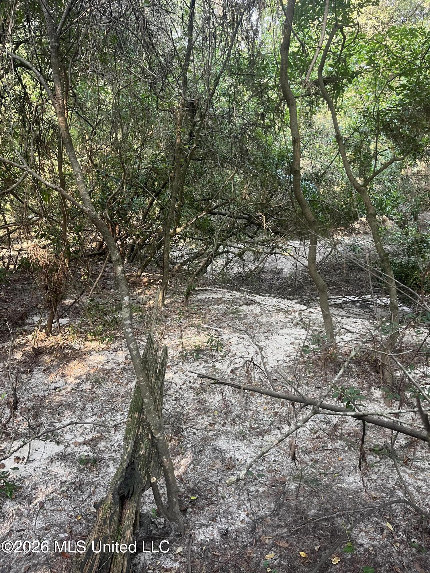 000 Crane Creek Rd Road Property Photo 6
